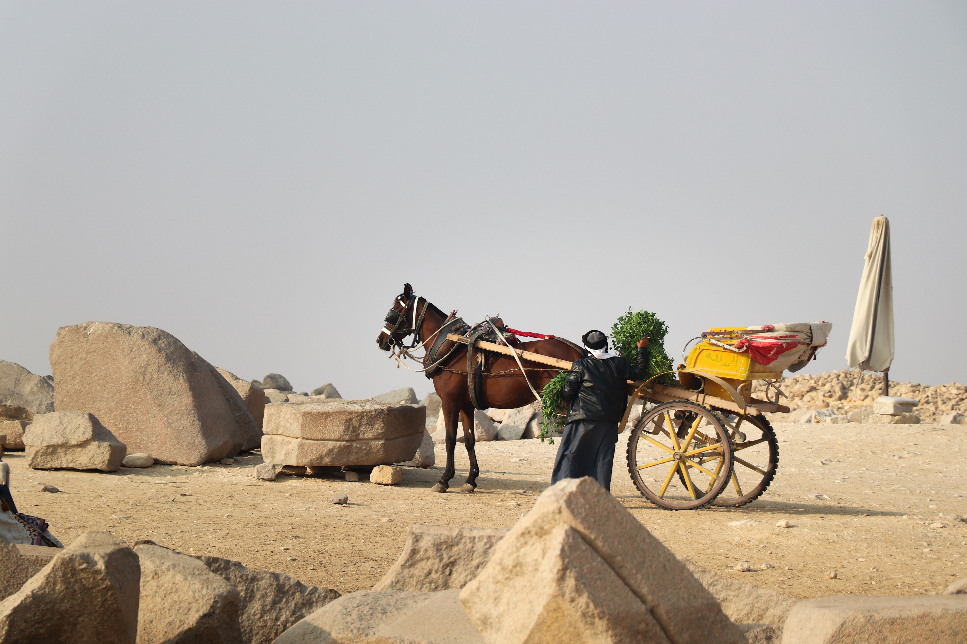 Giza, Egypt - January 30, 2025