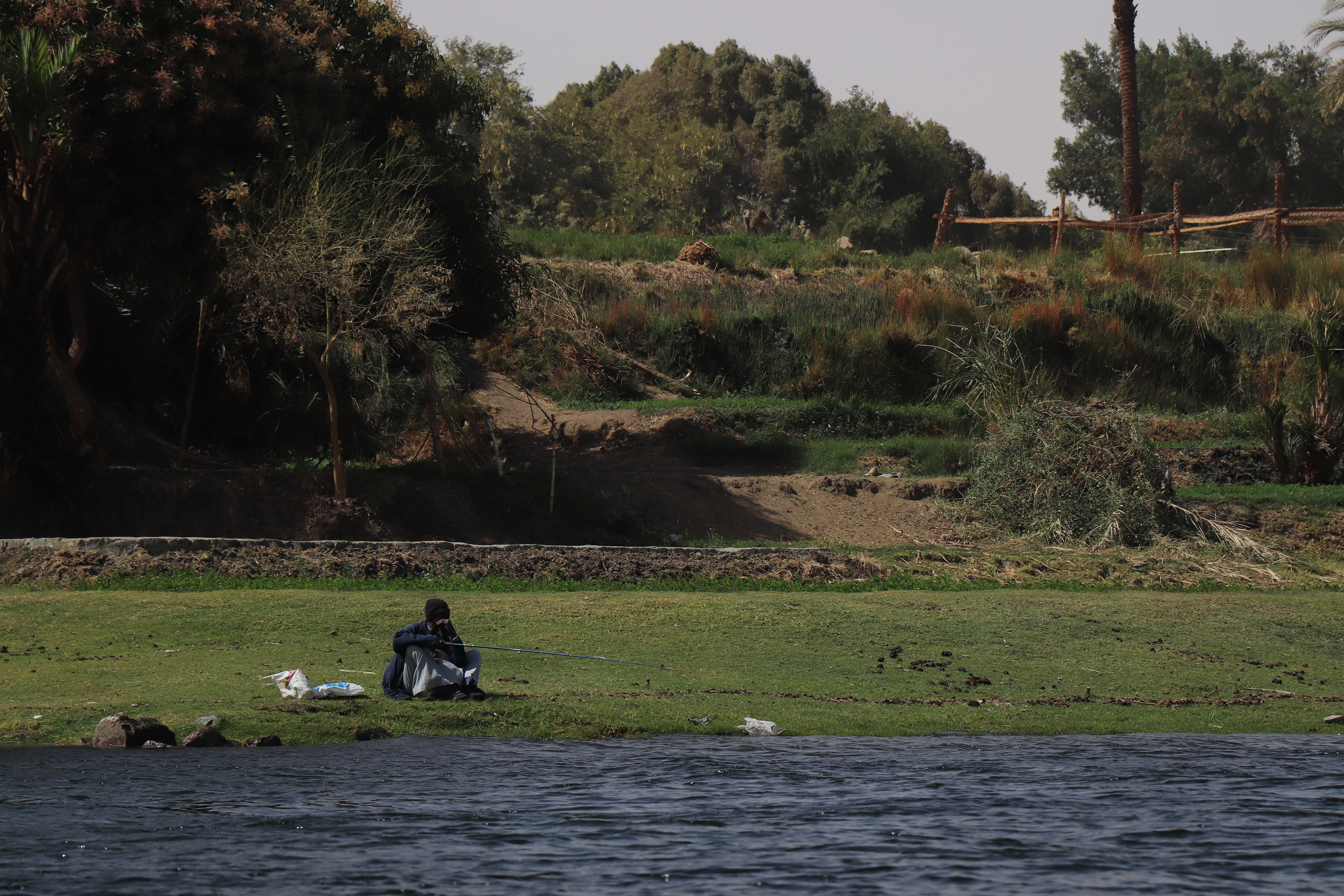 Aswan, Egypt - February 6, 2025