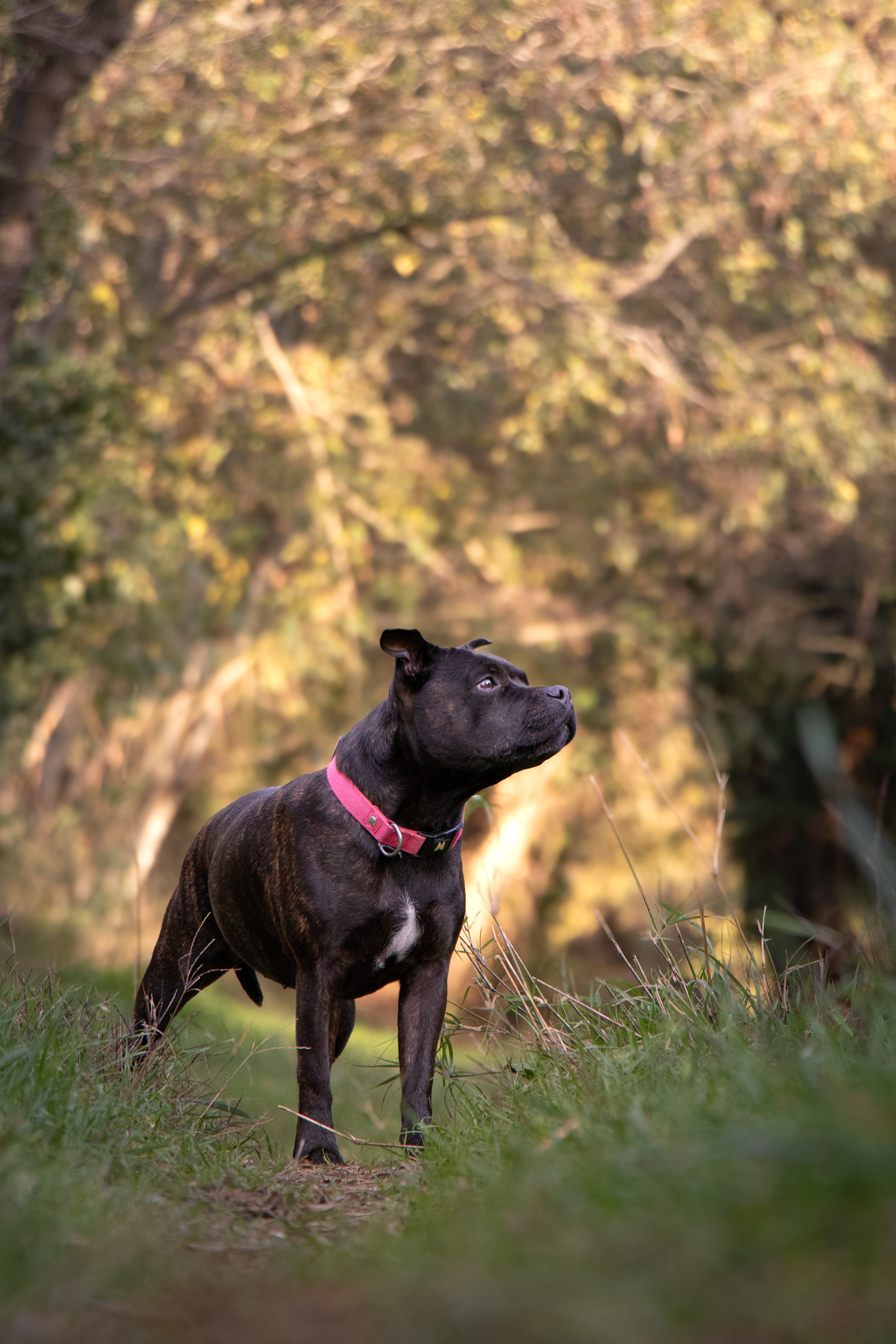 Oxia - November 11, 2025