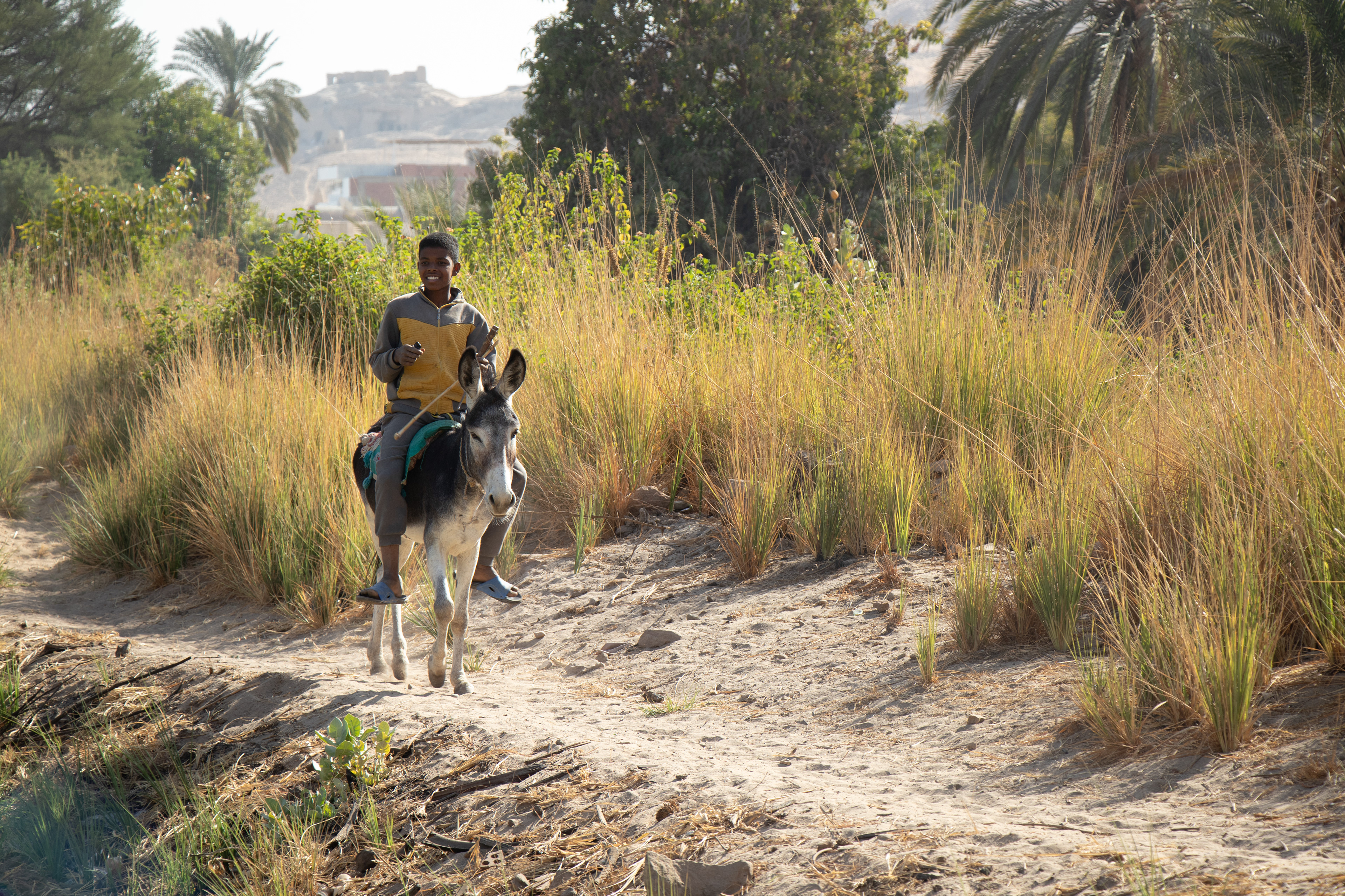 Aswan, Egypt - February 5, 2025