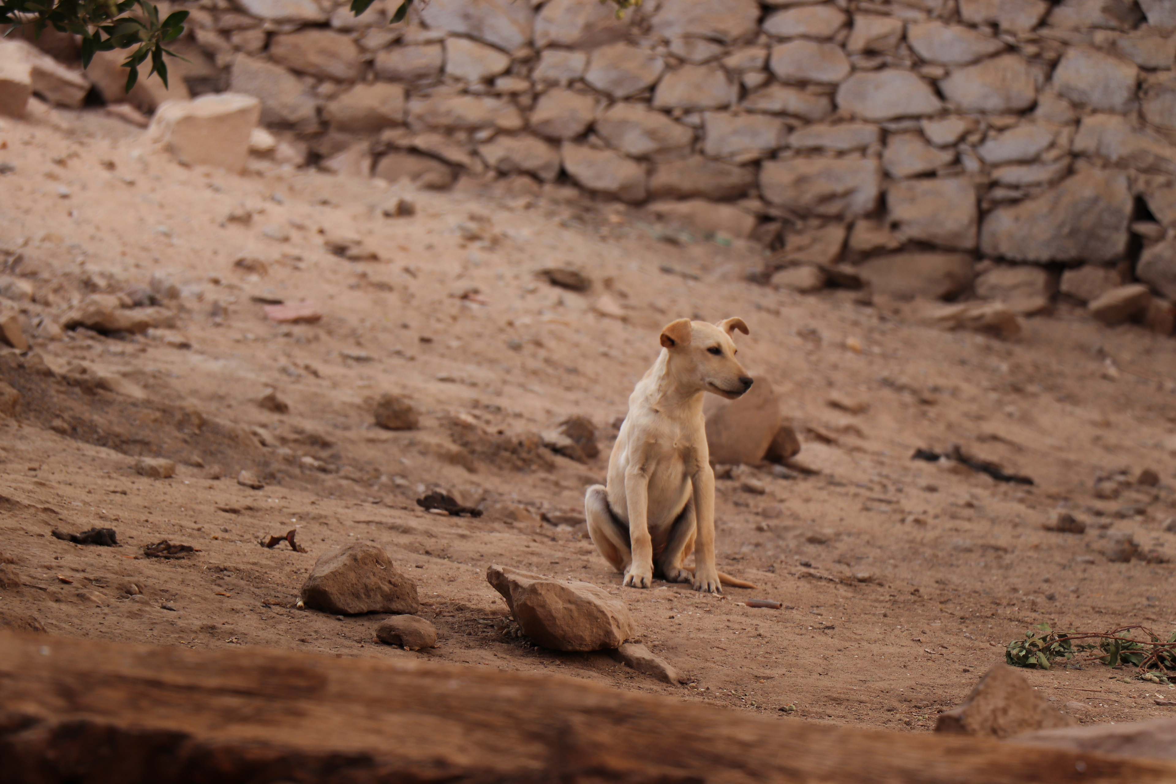Aswan, Egypt - February 5, 2025