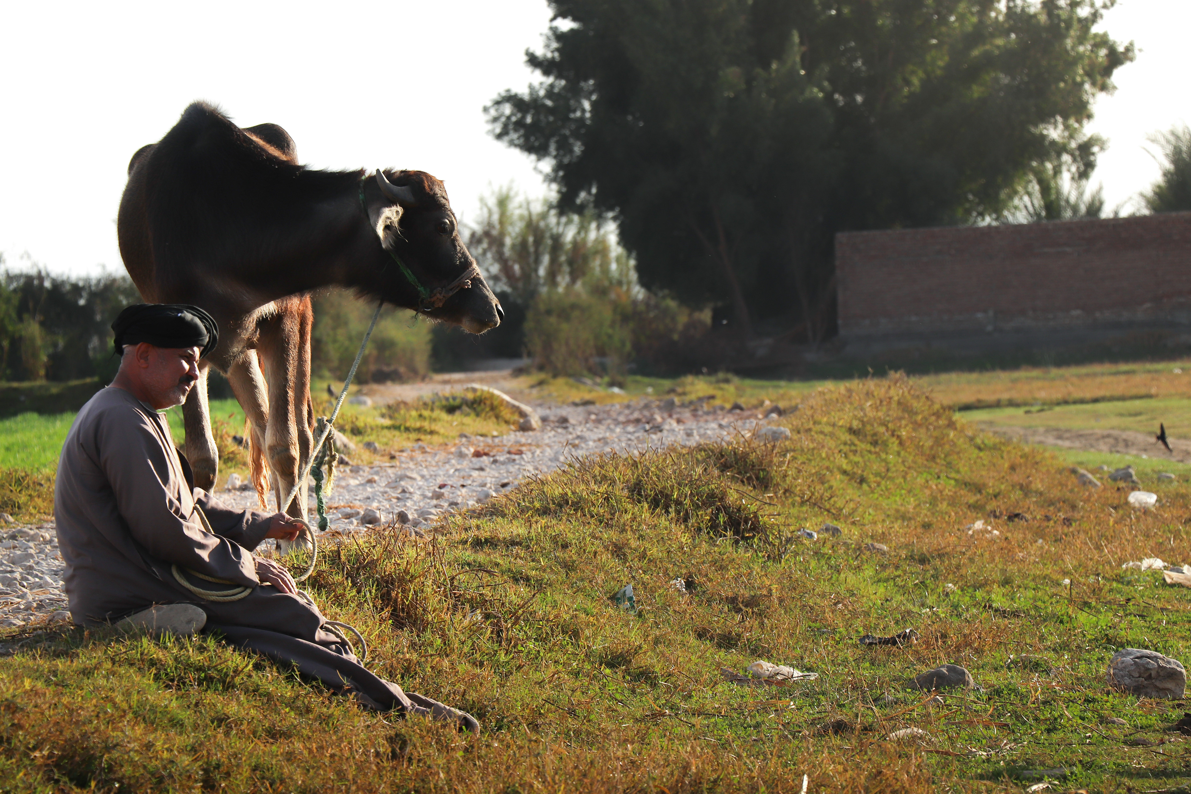 Luxor, Egypt - February 2, 2025