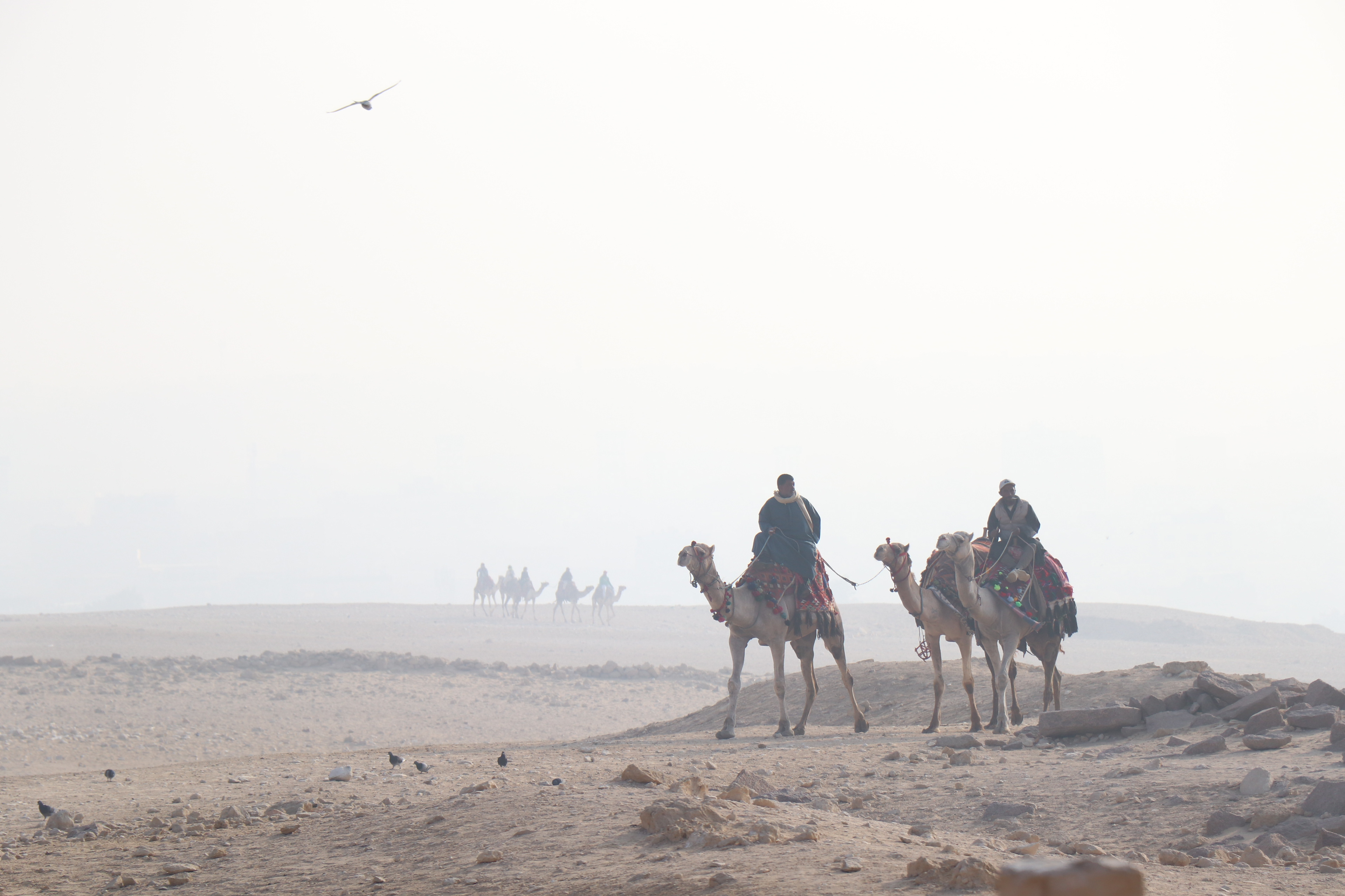 Giza, Egypt - January 30, 2025