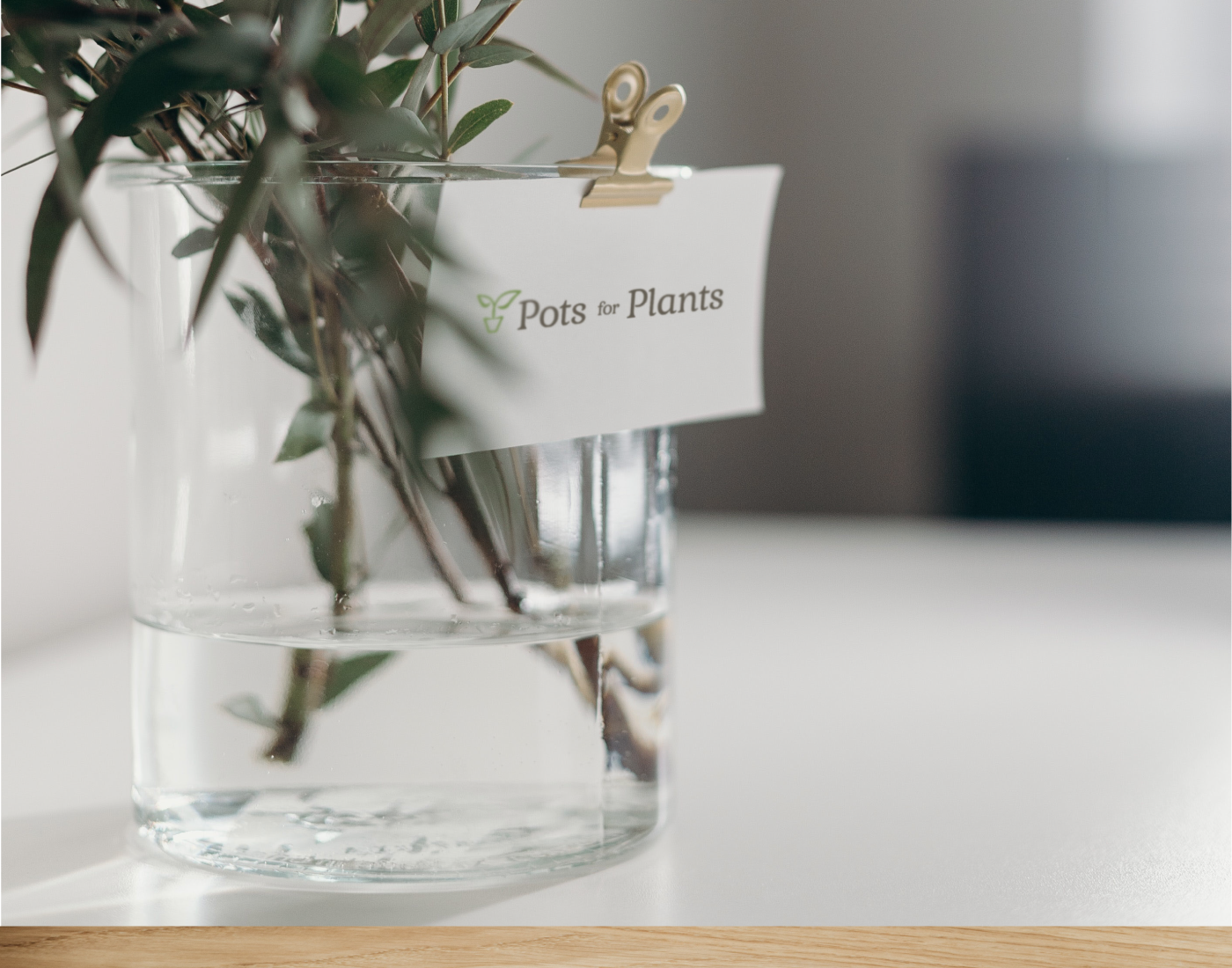 Pots for Plants Business Card