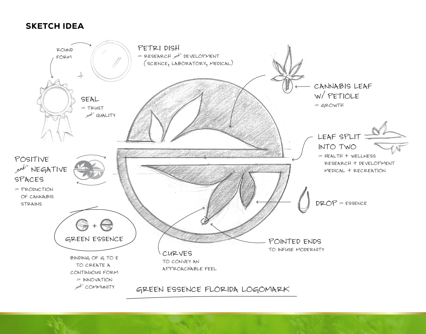 Green Essence Florida Logomark Sketch Idea