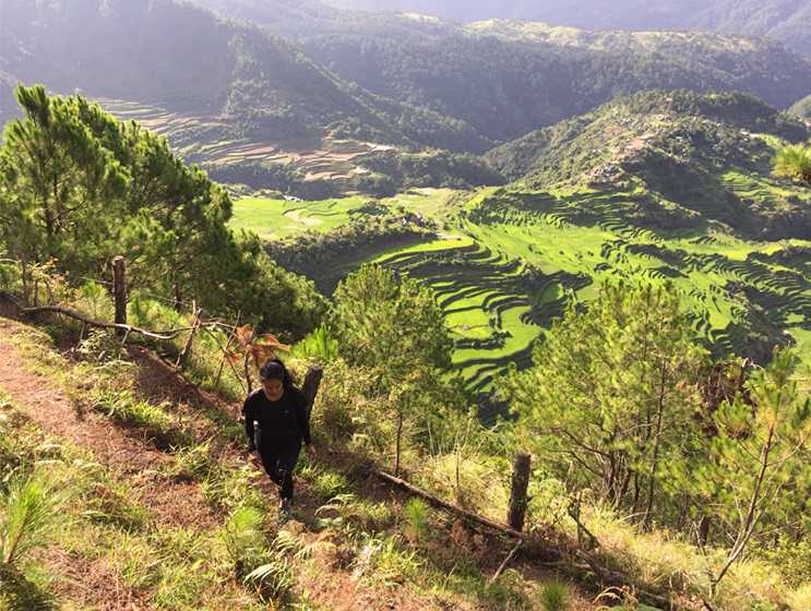 Nature's color palette at Mountain Province, Philippines
