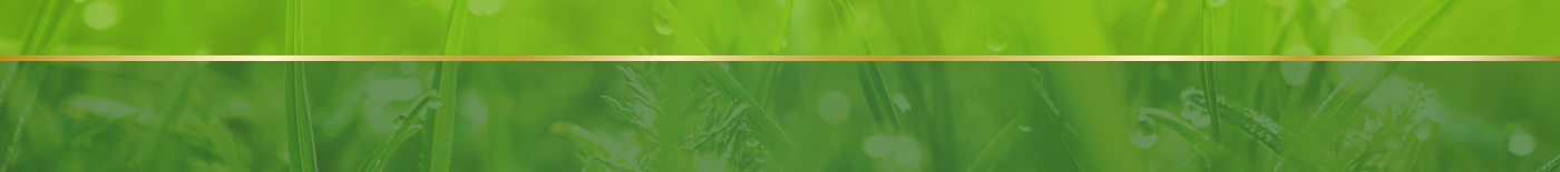 Green foliage with gold strip