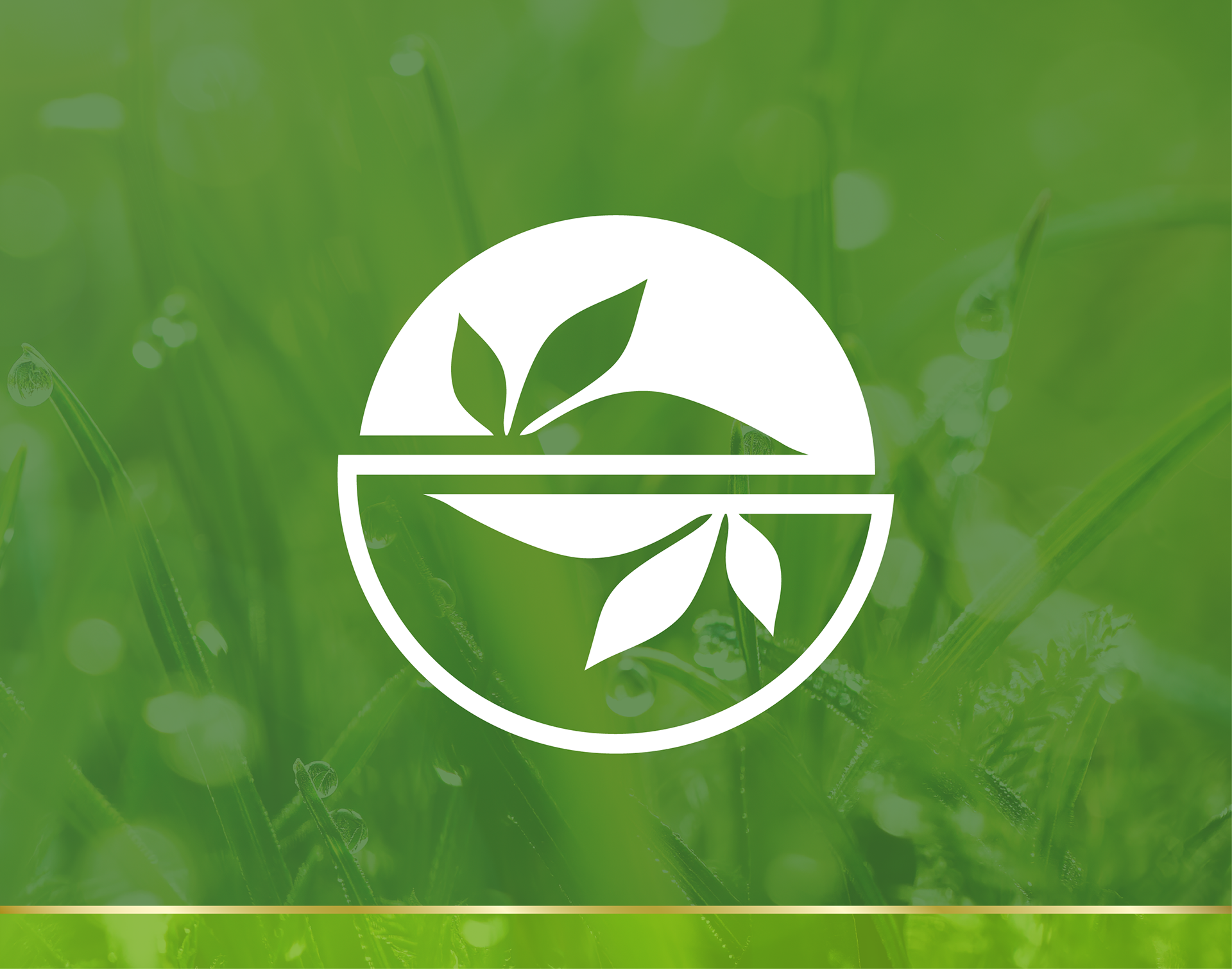 Green Essence Florida Logomark Design