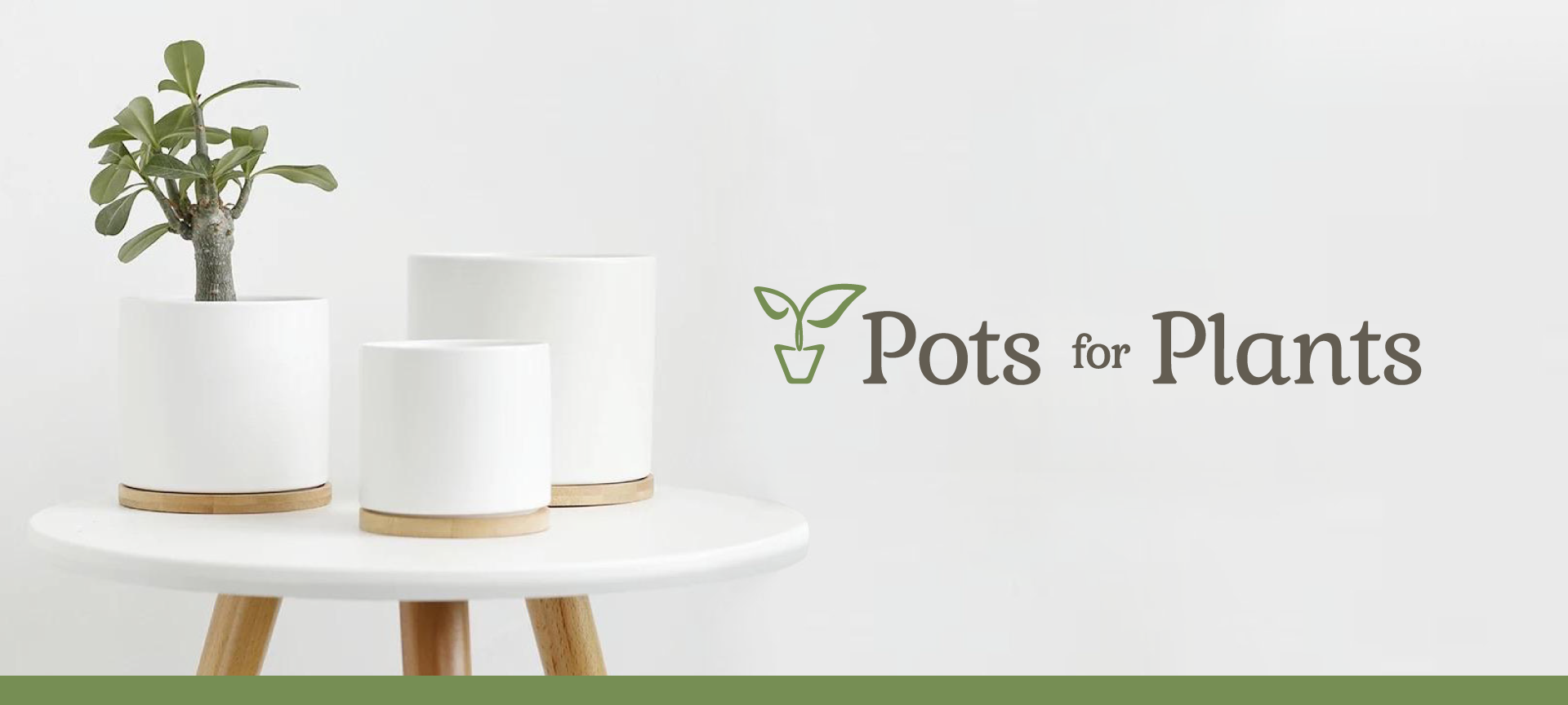 pots for plants branding white ceramic pots