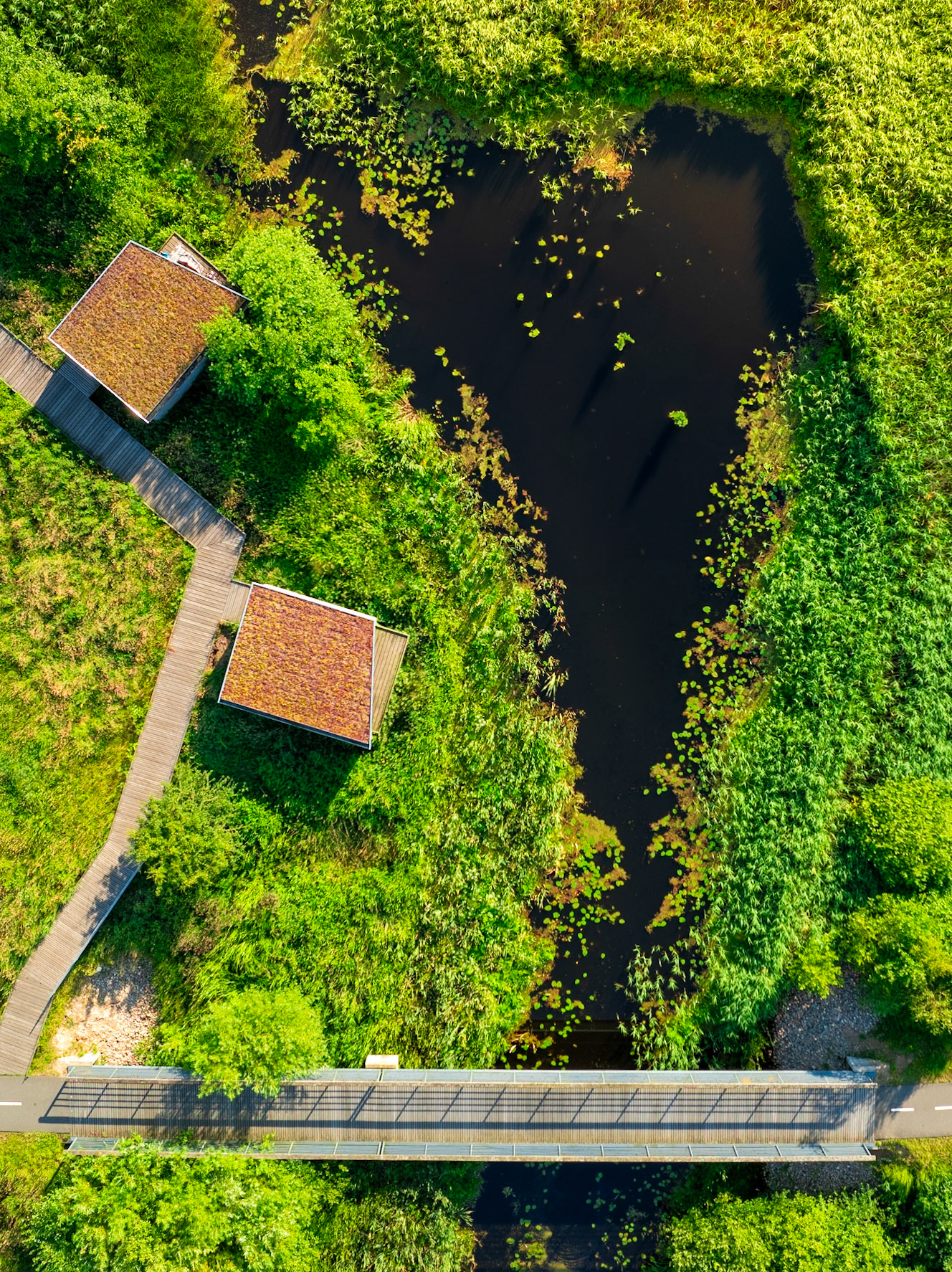 Dybvadbro dronefoto