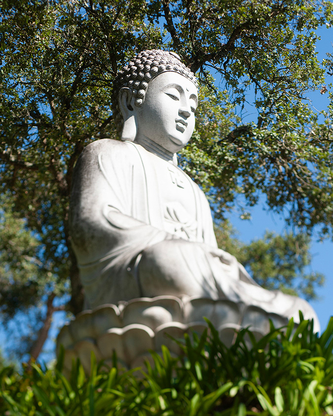 Bacalhôa Buddha Eden - Bombarral, Portugal - 50mm Exposure: 1/320 sec, f/1.2,  ISO 100 Time 15:05
