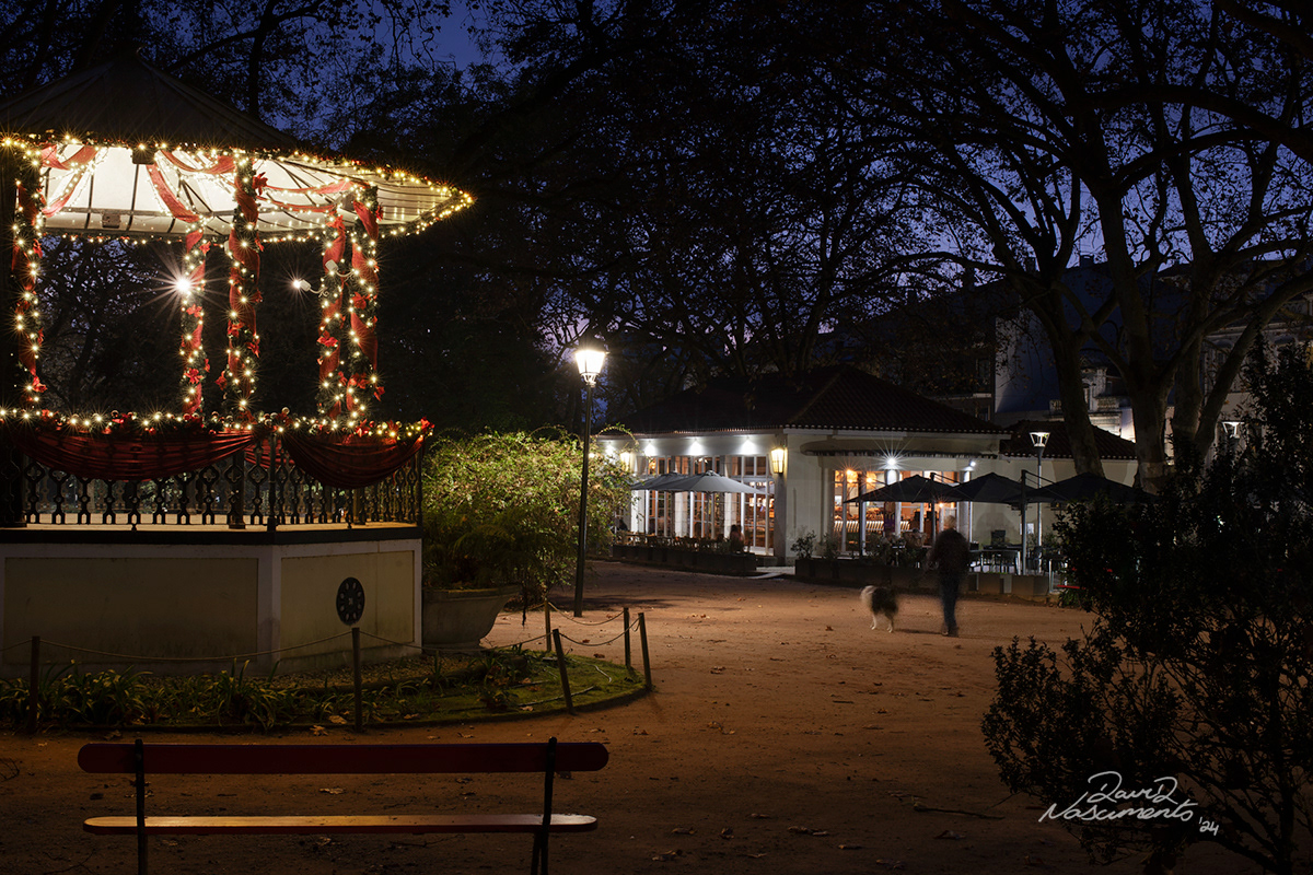 Parque Dom Carlos I - Caldas da Rainha, Portugal - 50mm Exposure: 1/15 sec, f/11,  ISO 200 Time 17:56