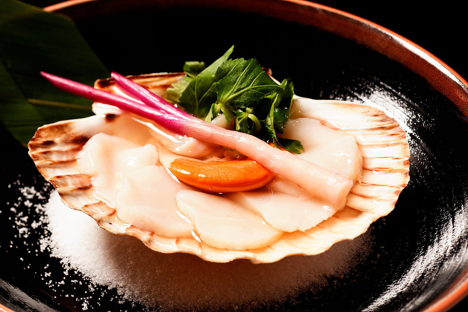 Food Photography Clam