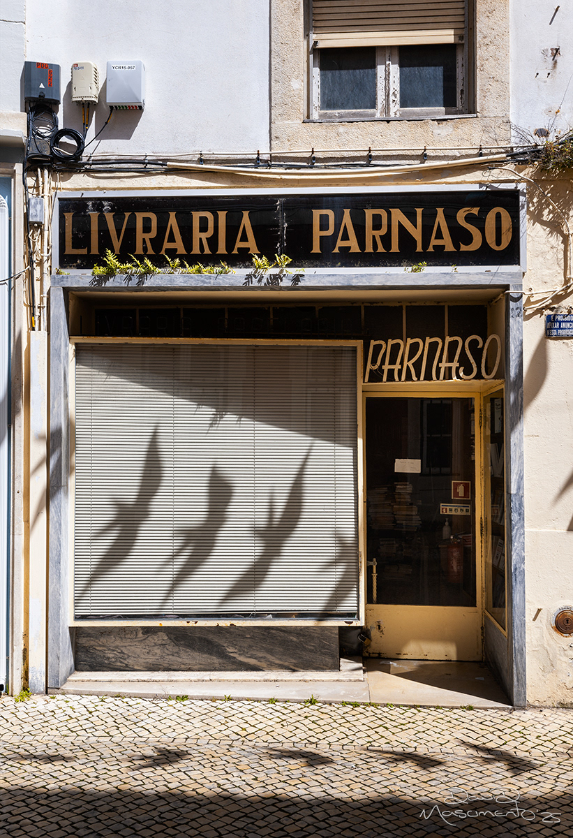 Livraria Parnaso - Caldas da Rainha, Portugal - 50mm Exposure: 1/125 sec, f/11,  ISO 100 Time 14:03