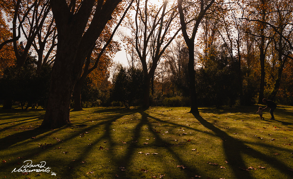 Parque Dom Carlos I - Caldas da Rainha, Portugal - 32mm Exposure: 1/500 sec, f/8,  ISO 200 Time 10:44