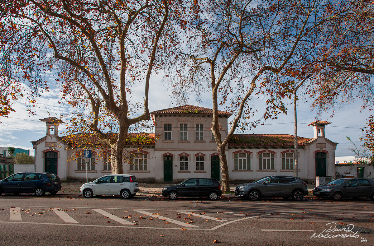 Escola do Parque - Caldas da Rainha, Portugal - 19mm Exposure: 1/125 sec, f/11,  ISO 100 Time 11:53