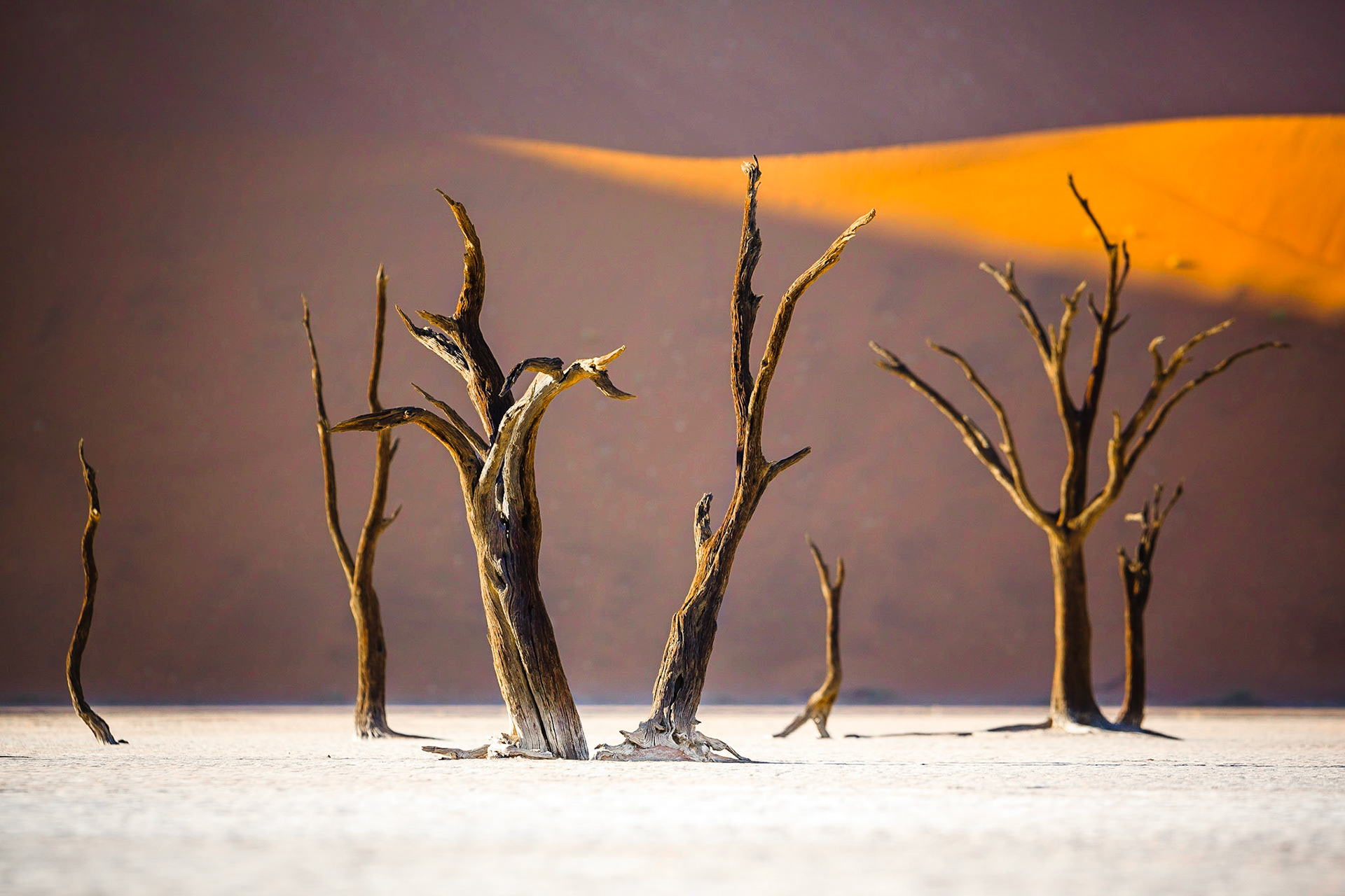 Sussusvlei Deadvlei - Namibia / Až 300 metrů vysoké duny obklopují solnou pánev Sossusvlei. Přestože je toto místo ukryto hluboko v poušti, mlžná rána zde nejsou zase až tak výjimečná. Mlha dokáže diametrálně změnit atmosféru tohoto místa, které po většinu času září sluncem, sytě oranžovou a hnědou barvou.