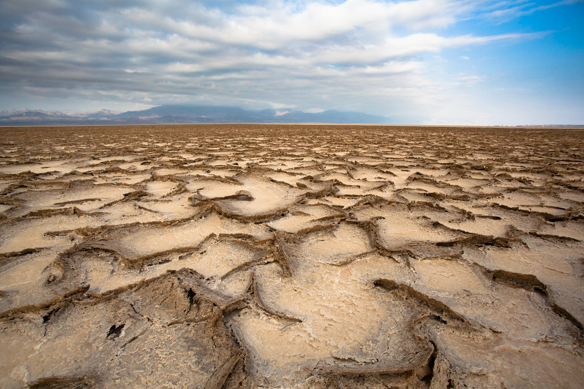 Salt pan in Danakil Depression - Afar region - Ethiopia