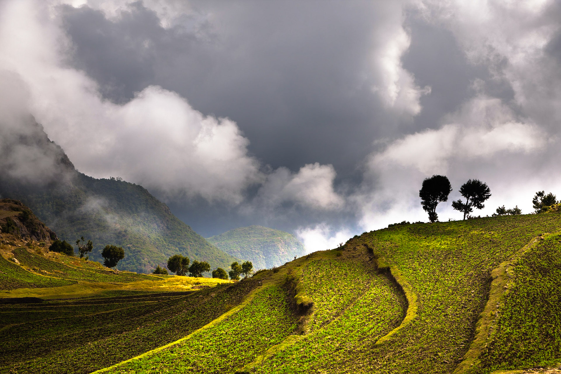 Landscape between Lalibela and Mekele - Ethiopia / V Etiopii jsem cestu z  Lalibely do Mekele absolvoval v období sucha. O tom, kolik vody se zde řítí z hor v období dešťů, vypovídala jen ohromná vyschlá koryta řek. O to více mě potěšilo jedno z mála míst v horách, které bylo v tomto období trochu zelené. V období dešťů musí vypadat vysoké hory s terasovými políčky opravdu úchvatně.