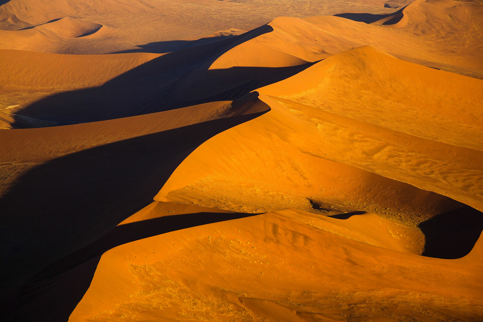 Večerní slunce dokáže vykouzlit v poušti neopakovatelnou, fantastickou atmosféru.