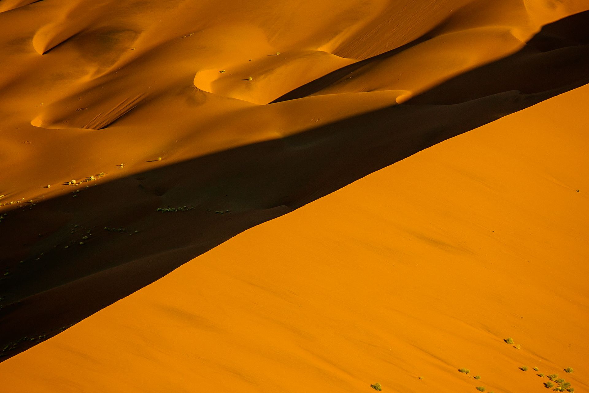 Shot of Namib desert - Sossusvlei - Namibia