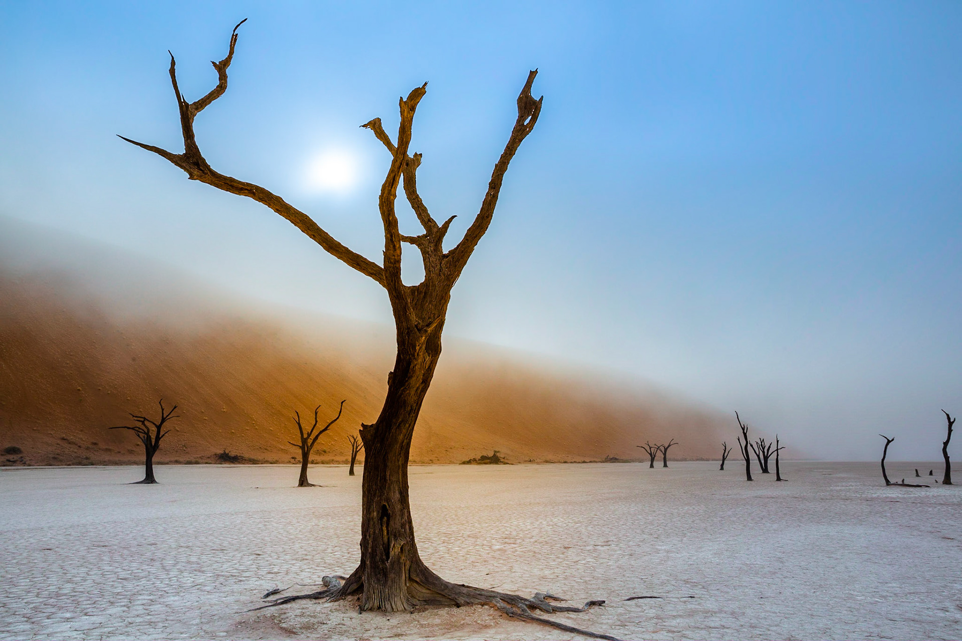 Sussusvlei Deadvlei - Namibia
