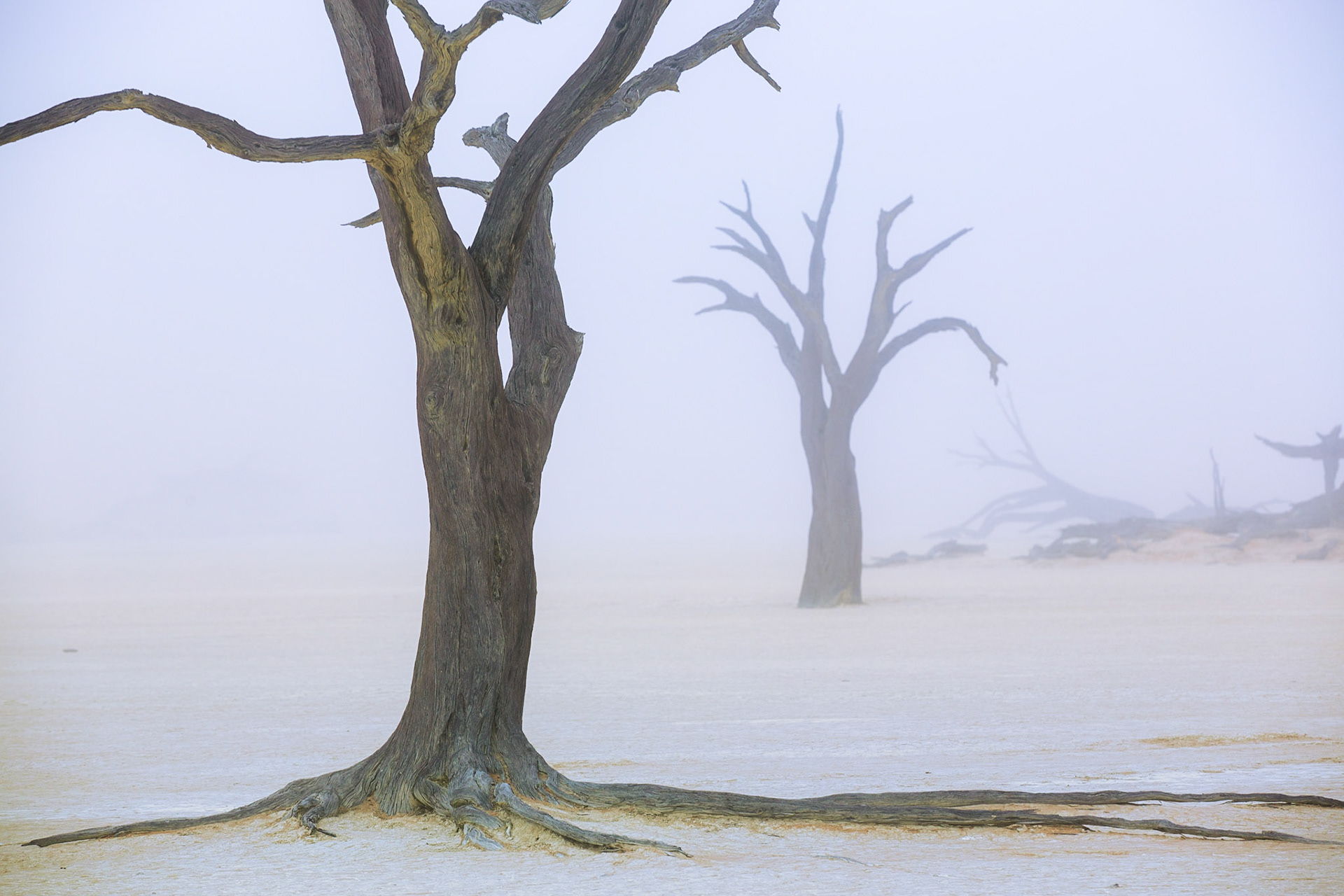 Sussusvlei Deadvlei - Namibia