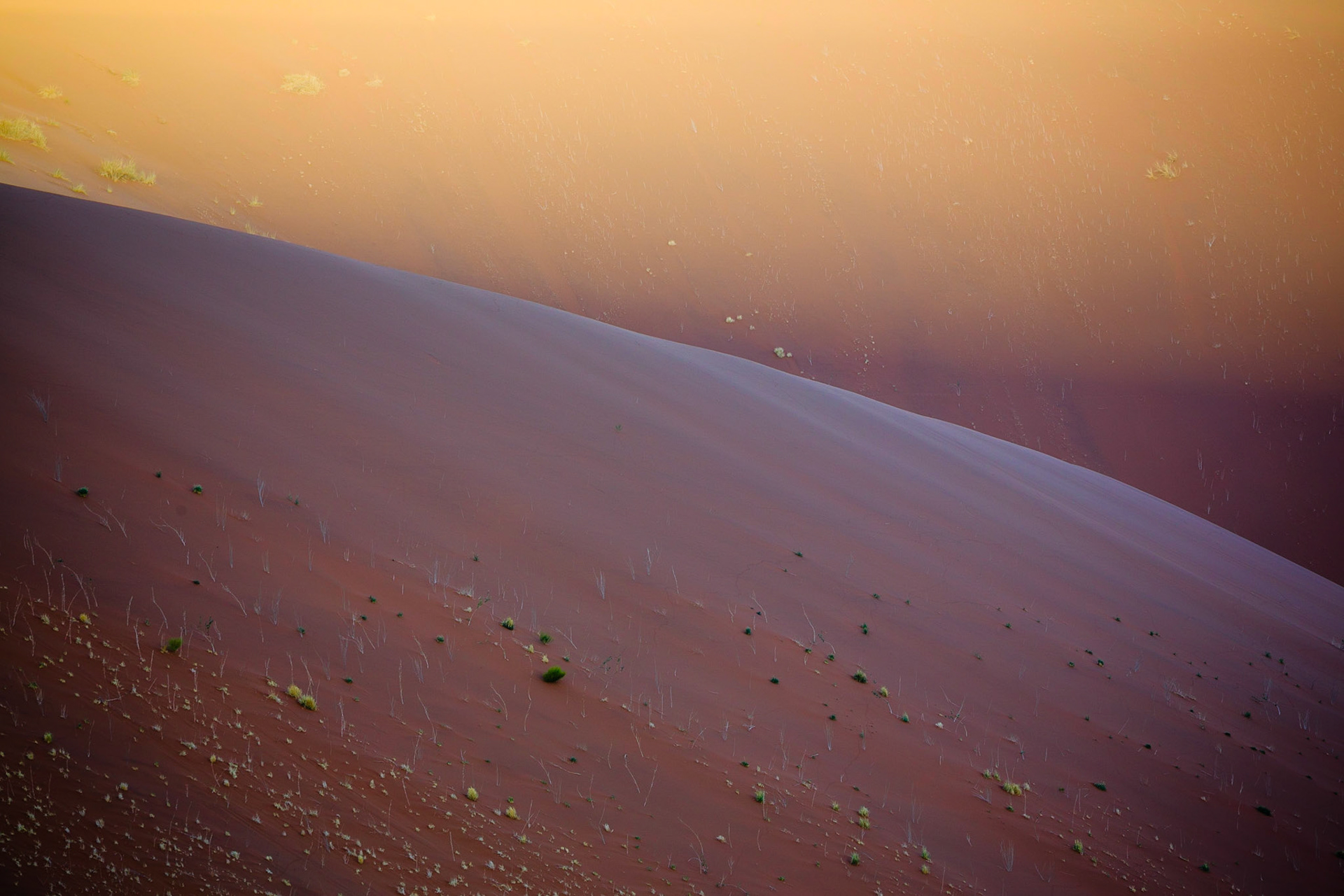 Sussusvlei Deadvlei - Namibia