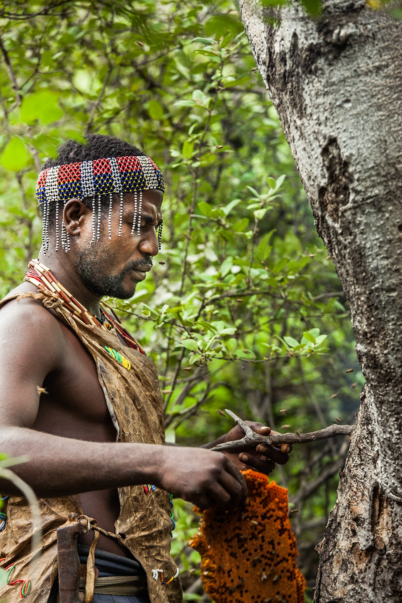 Hadza tribe, Lake Eyasi, Tanzania - 17 March 2011 / Lidé z kmene Hadza, Tanzánie, 2011