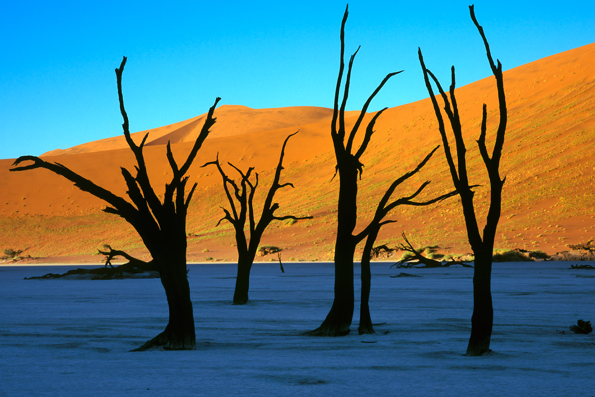 Až 500 let staré mrtvé akácie ve vyschlé solné pánvi DeadVlei dávají tomuto místu ukrytému uprostřed jedněch z nejvyšších dun na světě neopakovatlnou atmosféru.