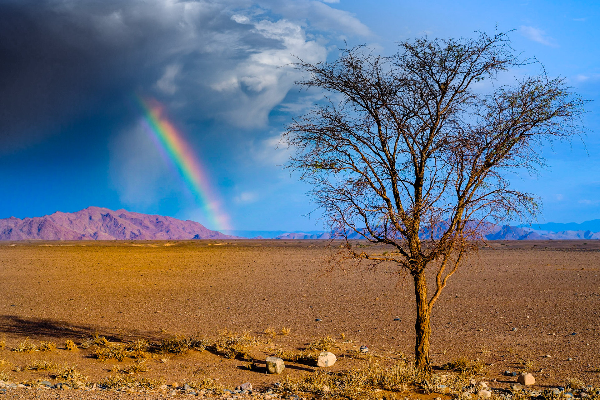 Namib desert - Sossusvlei -  Namibia