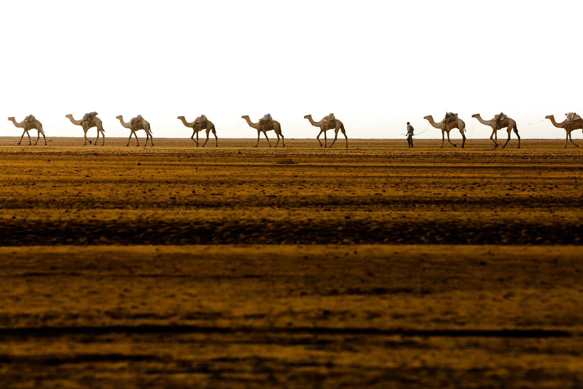 Karavany putují již od časného rána. To je teplota ještě přijatelná.