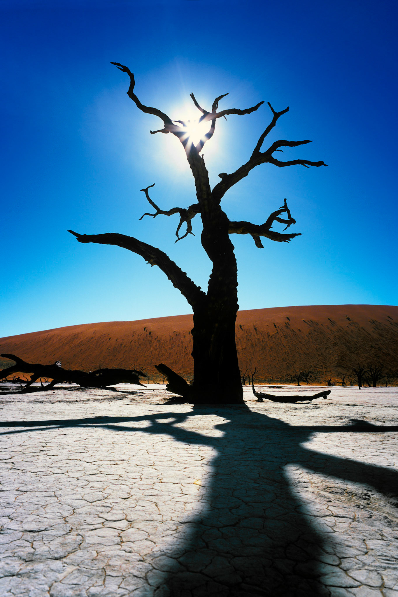 Až 500 let staré mrtvé akácie ve vyschlé solné pánvi Dead Vlei dávají tomuto místu, ukrytému uprostřed jedněch z nejvyšších dun na světě, neopakovatelnou atmosféru.