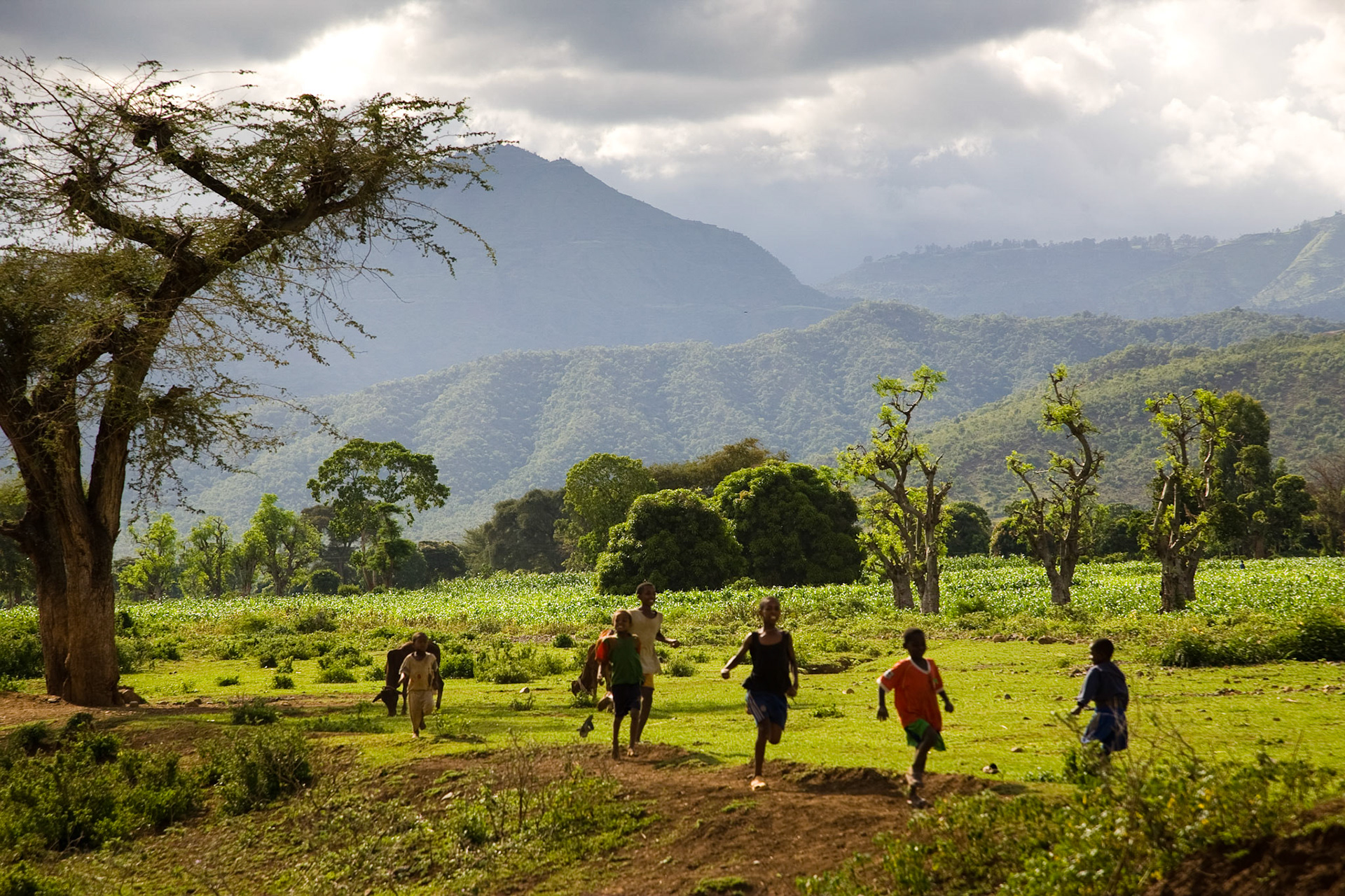Teprve malý kousek před Arba Minchem začíná být krajina poprvé od Addis Abeby zajímavá. Pod horami, které se tyčí nad velkými jezery Chamo a Abaya, se zelenají banánovníkové plantáže a to, že je zde příroda  štědřejší, je znát i na místních lidech.