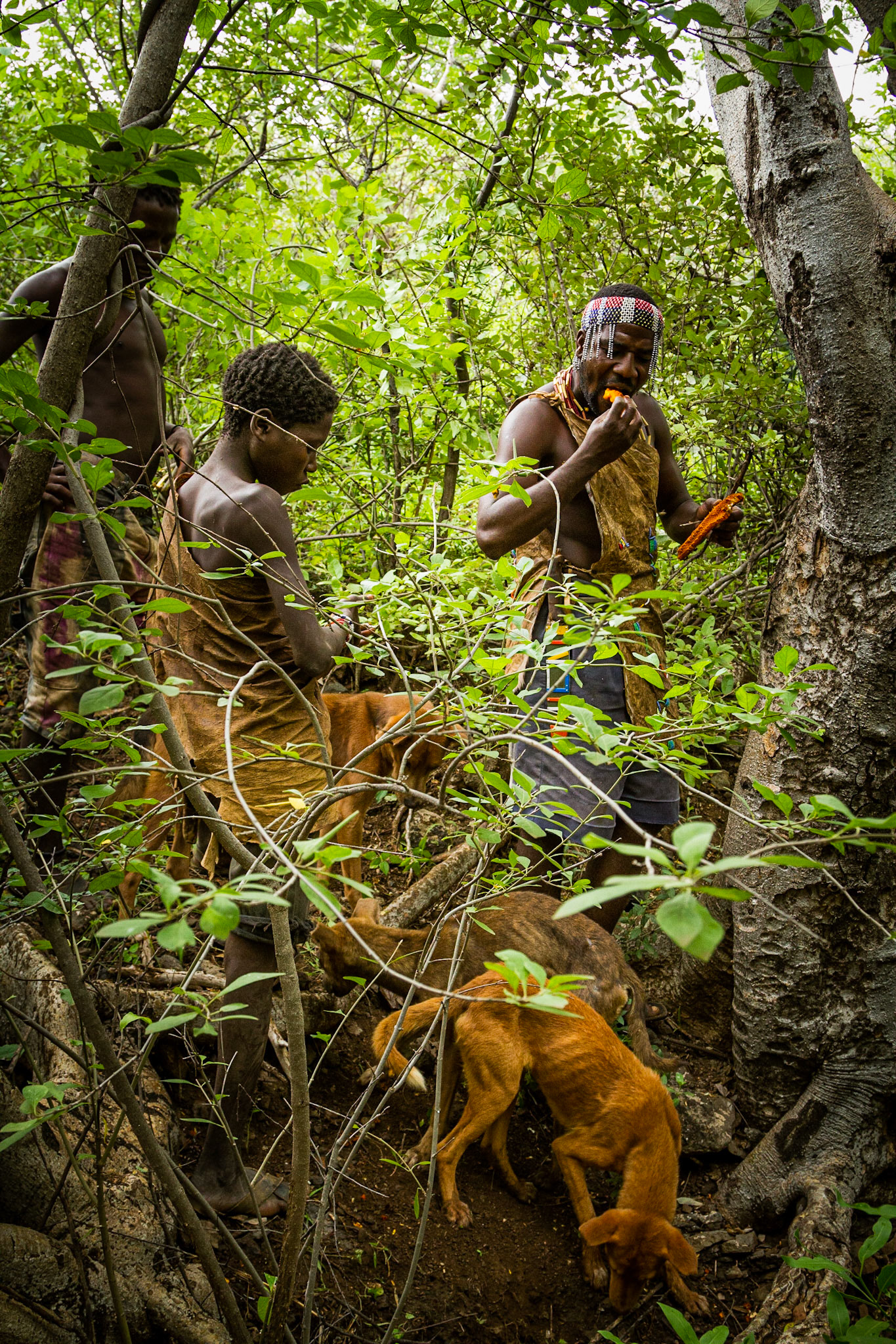 Hadza tribe, Lake Eyasi, Tanzania - 17 March 2011 / Lidé z kmene Hadza, Tanzánie, 2011