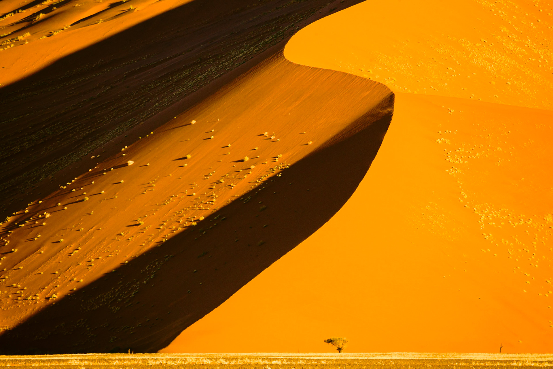 Shot of Namib desert - Sossusvlei - Namibia