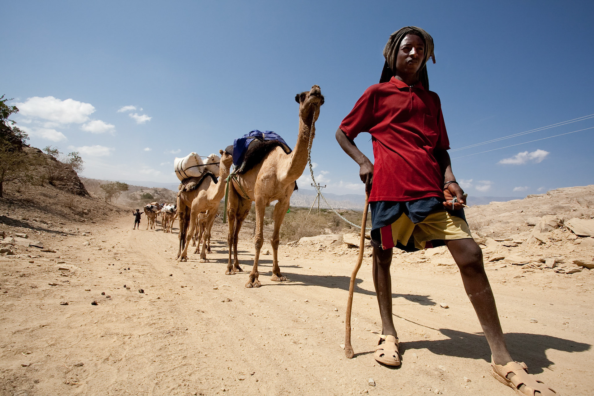 Symbol Afaru - vebloudi, nebo přesně řečeno dromedáři, putují v nekonečných karavanách směrem z pouště Danakil do Mekele s cenným nákladem soli. Cesta trvá několik dní a určuje jejich celoživotní rytmus. Na snímku je karavana při návratu do Danakilu, kdy jsou naloženi proviantem pro přežití v poušti.