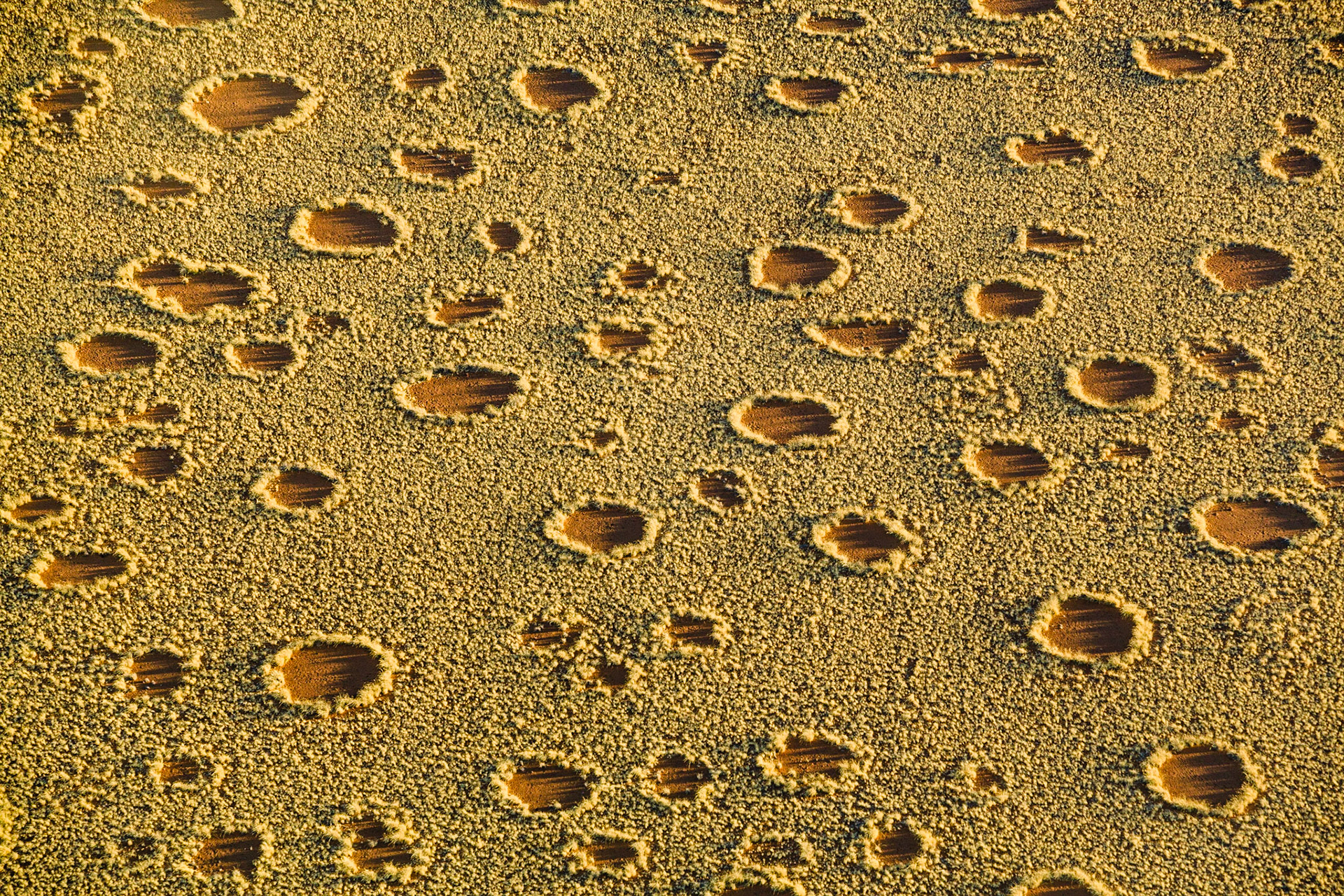 Kruhy v trávě, která pokrývá písečné duny na jihozápadním pobřeží Afriky (Namíbie, Angola), byly dlouhou dobu záhadou. Dle nejnovějších poznatků je způsobuje jistý druh termita,, žijícího v těchto kruzích. Na některých místech si člověk při pohledu z letadla vybaví filmové fantaskní krajiny z jiných světů.