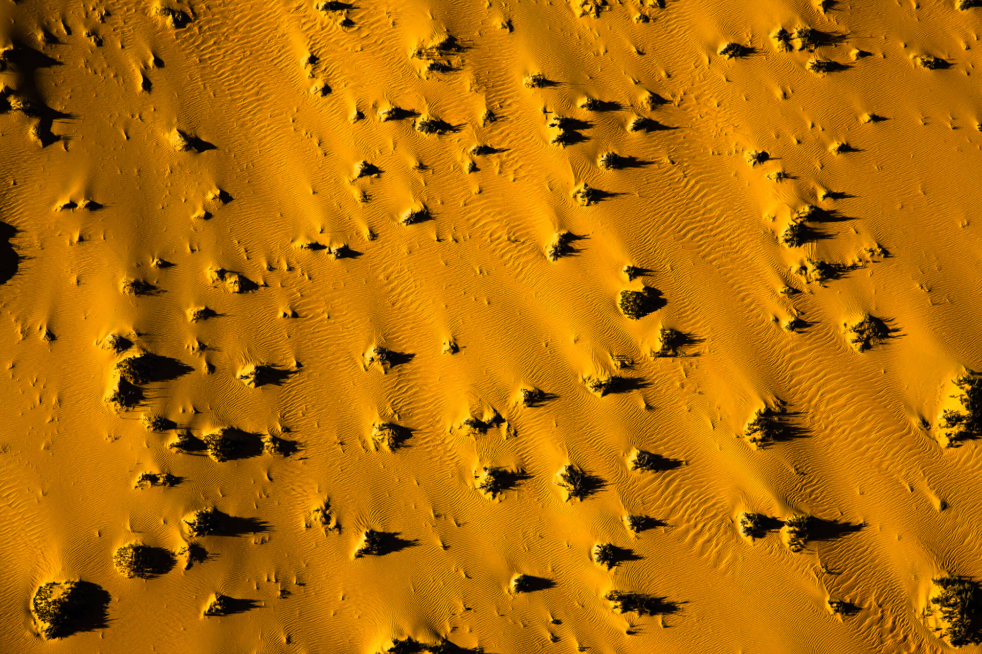 Namib není jen pouští nejvyšších písešných dun na světě, ale ve skutečnosti má opravdu mnohu tváří. Ty mnohdy zůstávají skryty právě uprostřed nedostupných dun, a tak nejlepší způsob vedoucí k jejich odhalení, je najmutí si letadla a pohled z nebe.