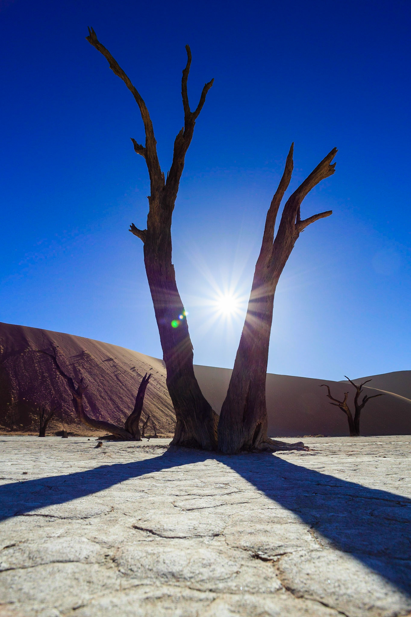 Sussusvlei Deadvlei - Namibia