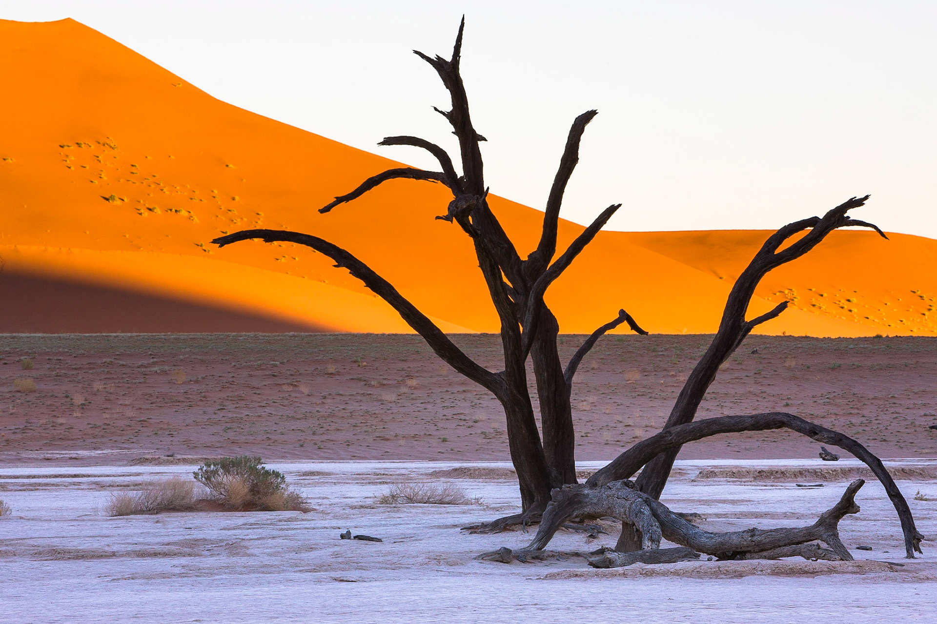 Sussusvlei Deadvlei - Namibia