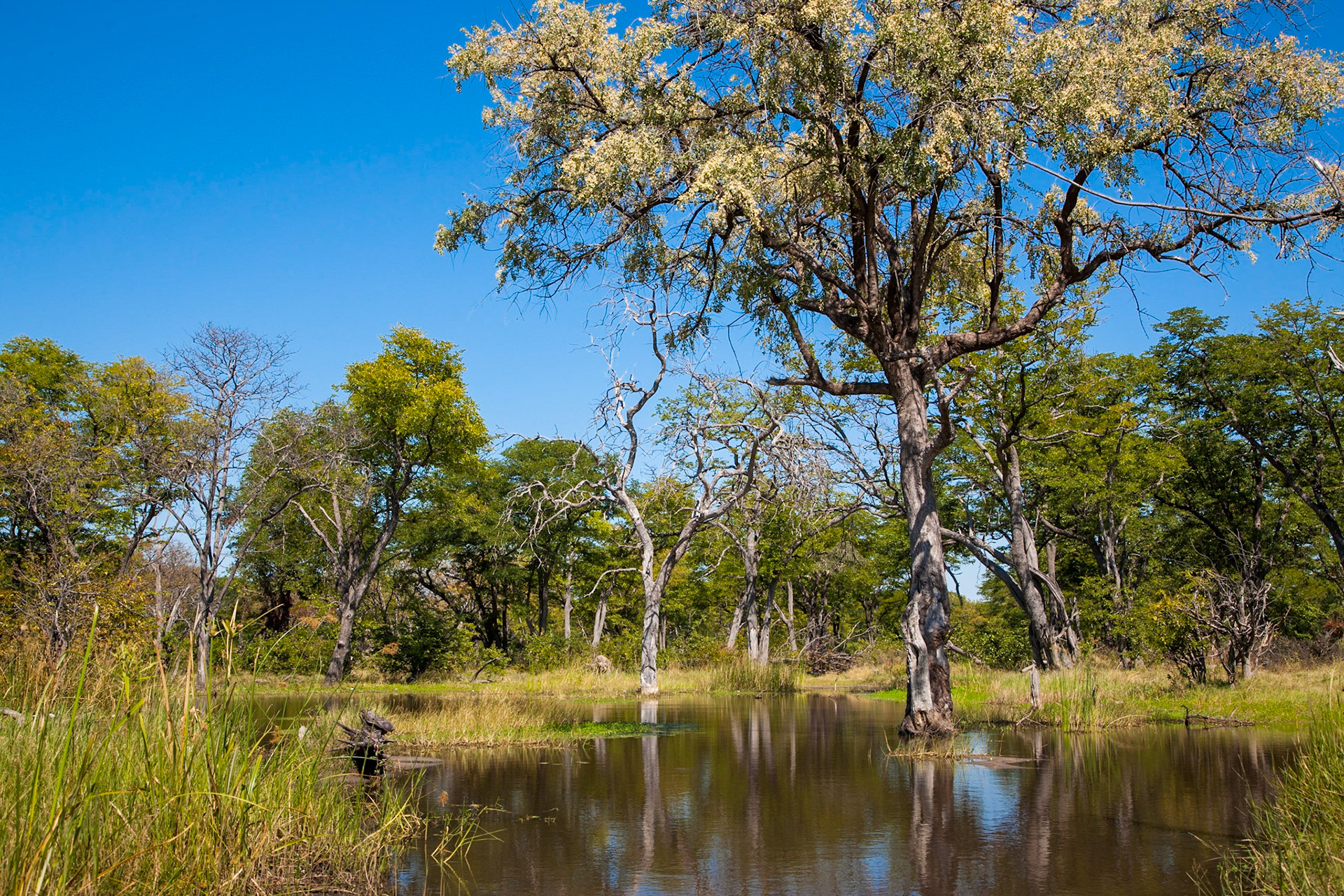 Těsně po období dešťů je v parku ještě poměrně dost vody. Cesty bývají mnohdy zatopené a hledáním objízdných tras a procházením brodů před průjezdem jsme strávili mnoho času. Dobrá mapa v navigaci je podmínkou. Jednoznačně doporučuji www.tracks4africa.com