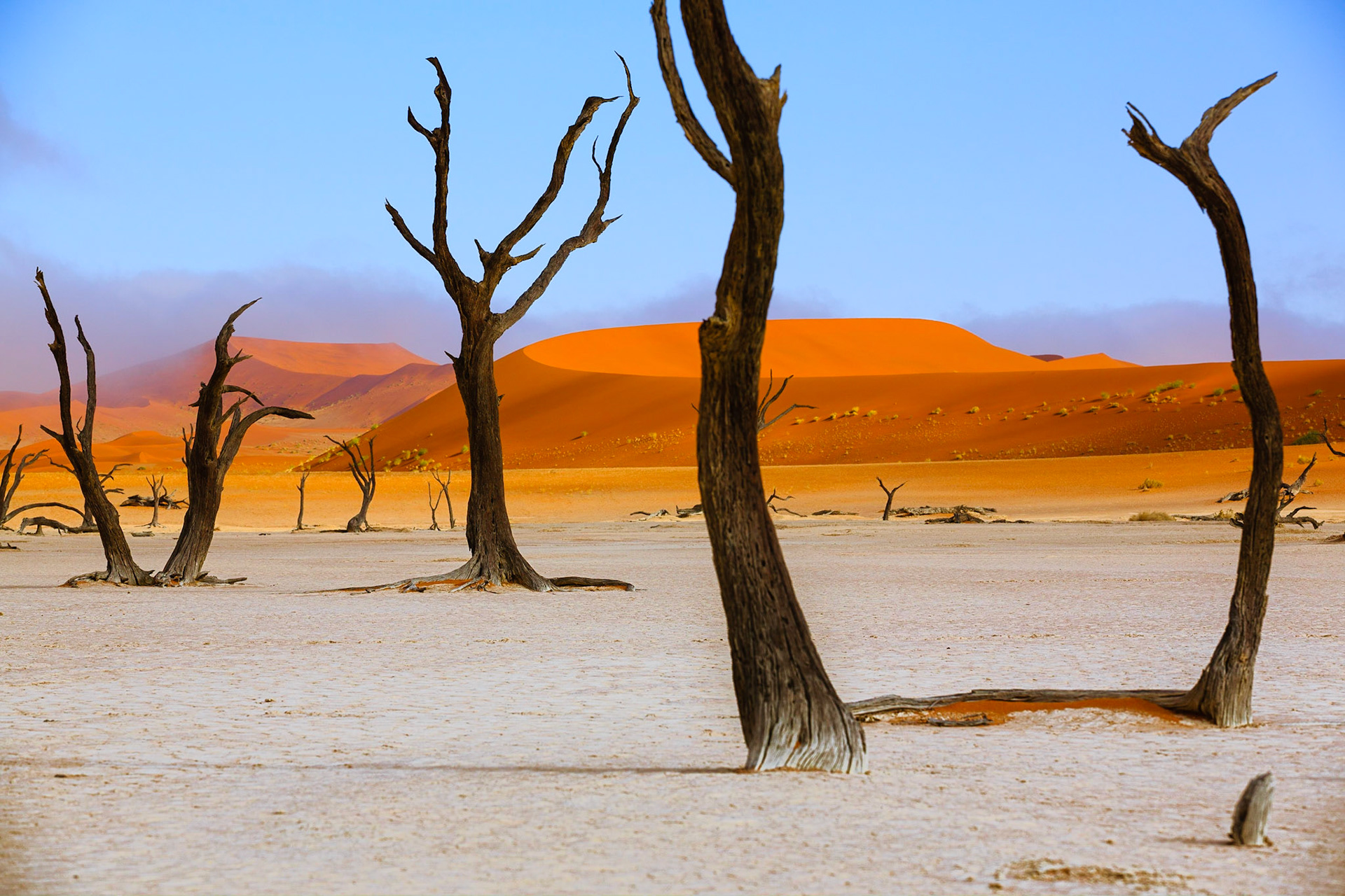 Sussusvlei Deadvlei - Namibia