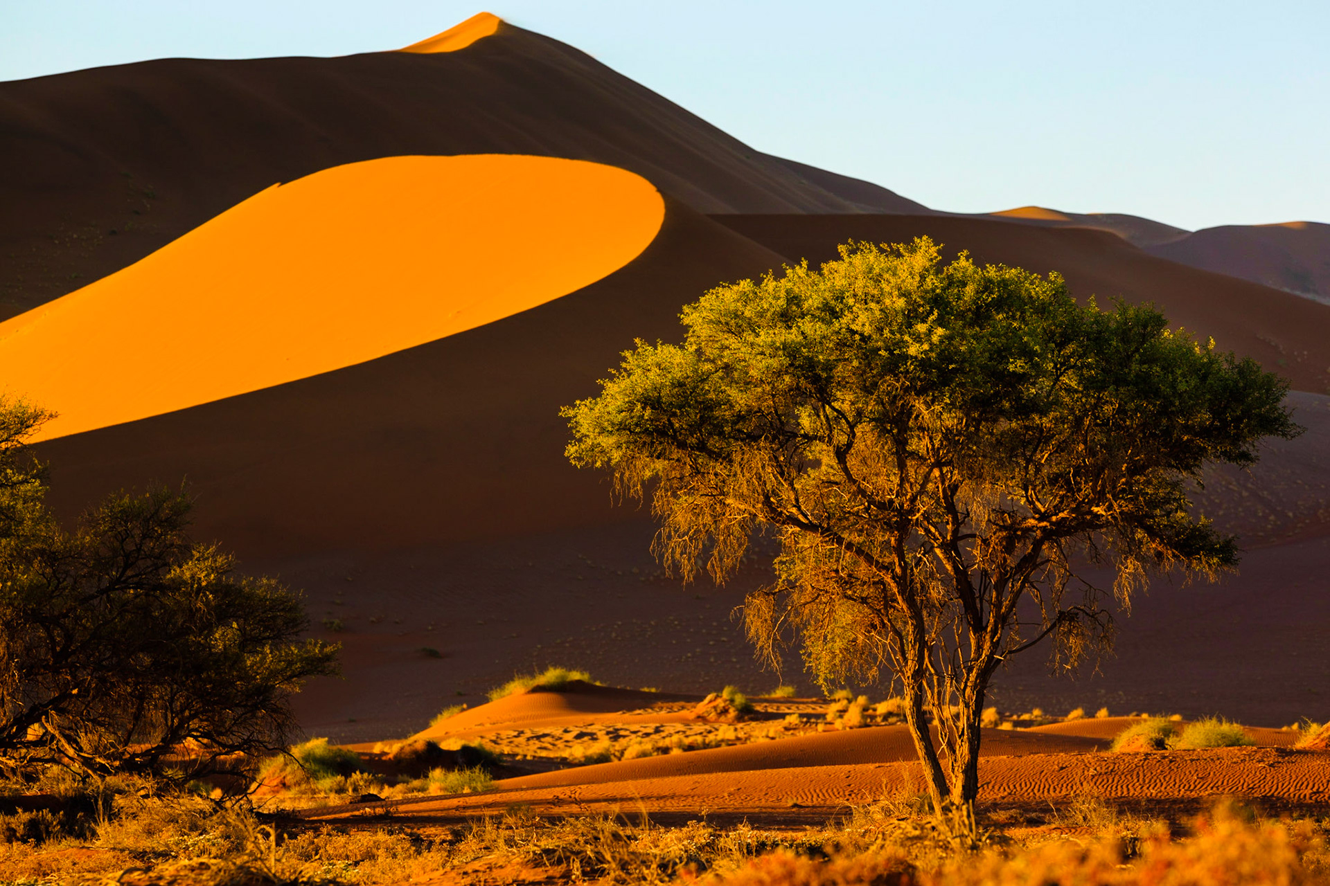 Sussusvlei Deadvlei - Namibia