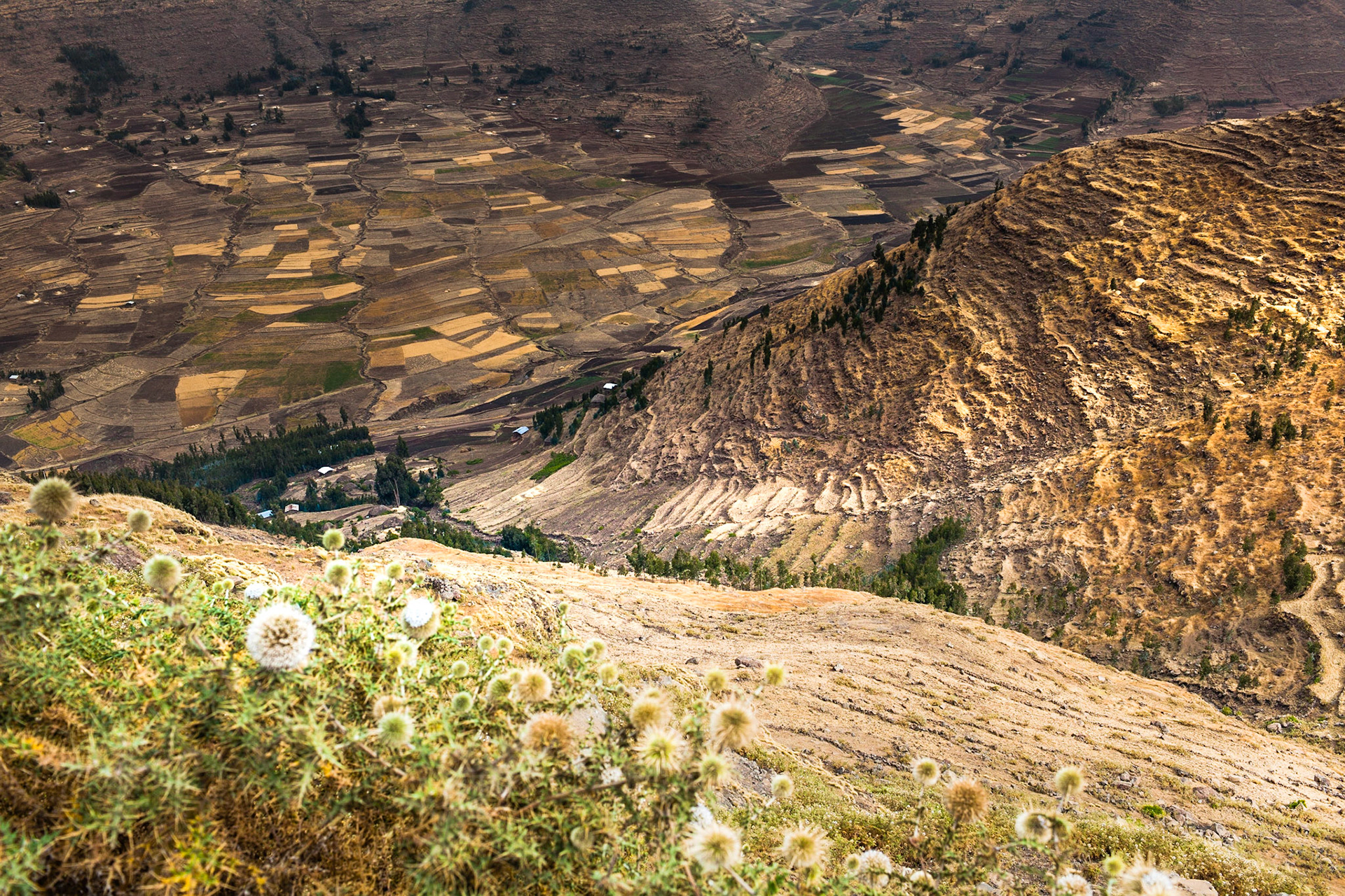 Landscape between Dessie and Lake Hayq