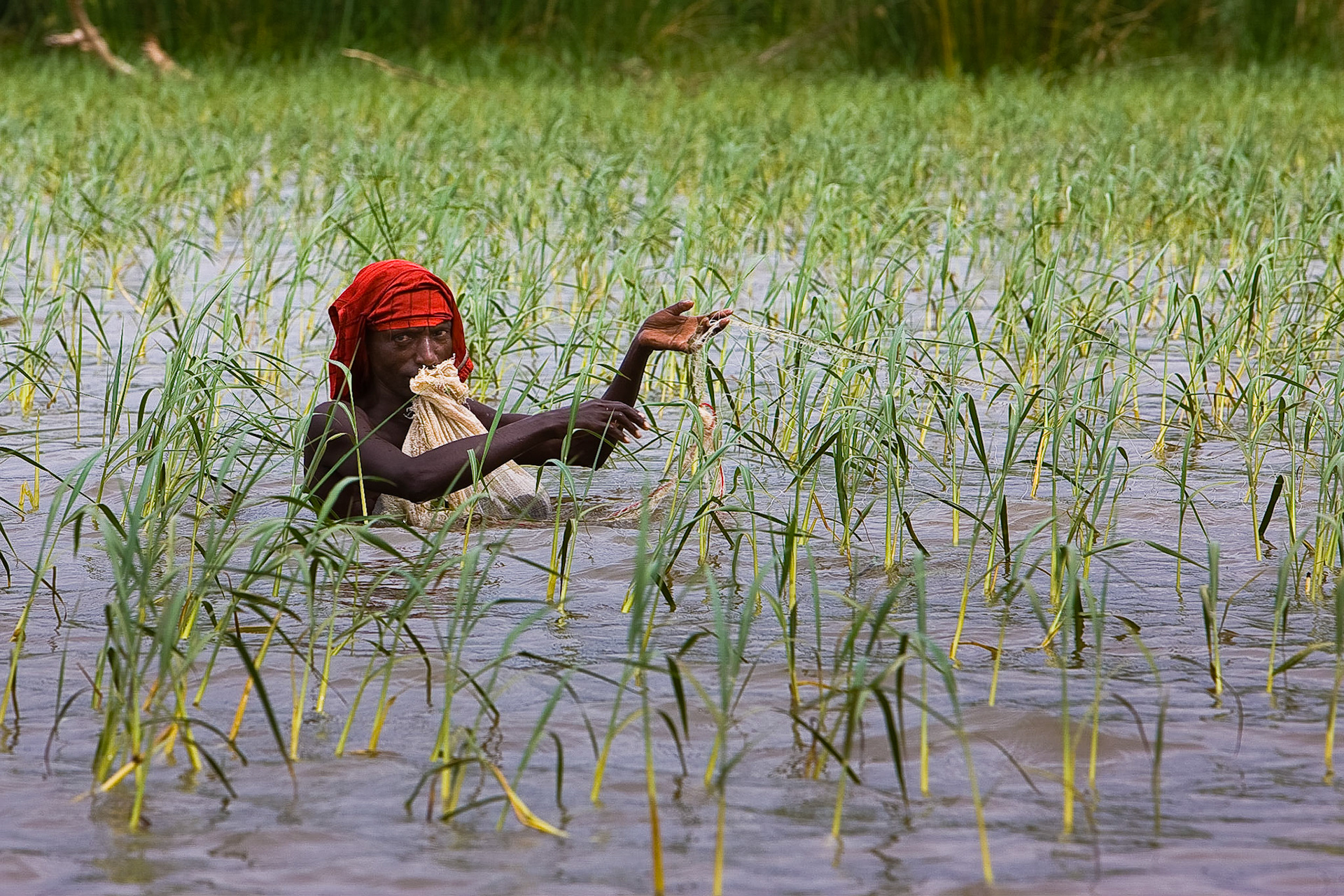 Ale najdou se i tvrďáci, kteří do toho jdou naostro. Bez necek. Dle slov průvodce se však každoročně několik z nich potká s krokodýlem. Při té koncentraci krokodýlů se neni čemu divit.