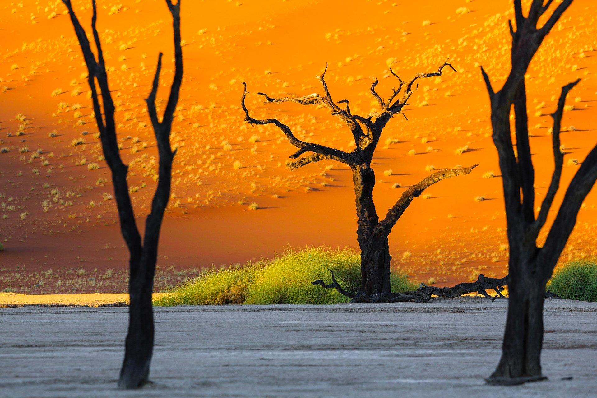 Sussusvlei Deadvlei - Namibia