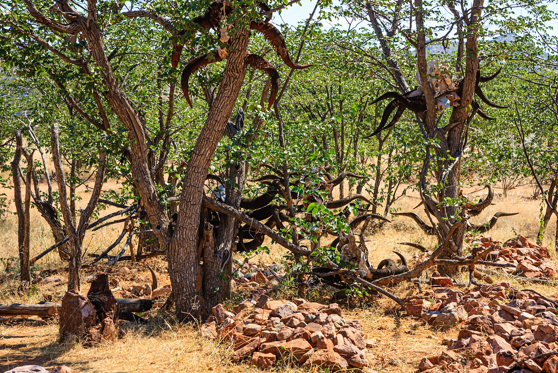 Traditional Himbas cemetery in Kaokoland region - Namibia