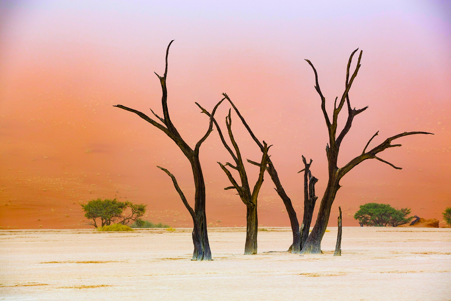 Sussusvlei Deadvlei - Namibia