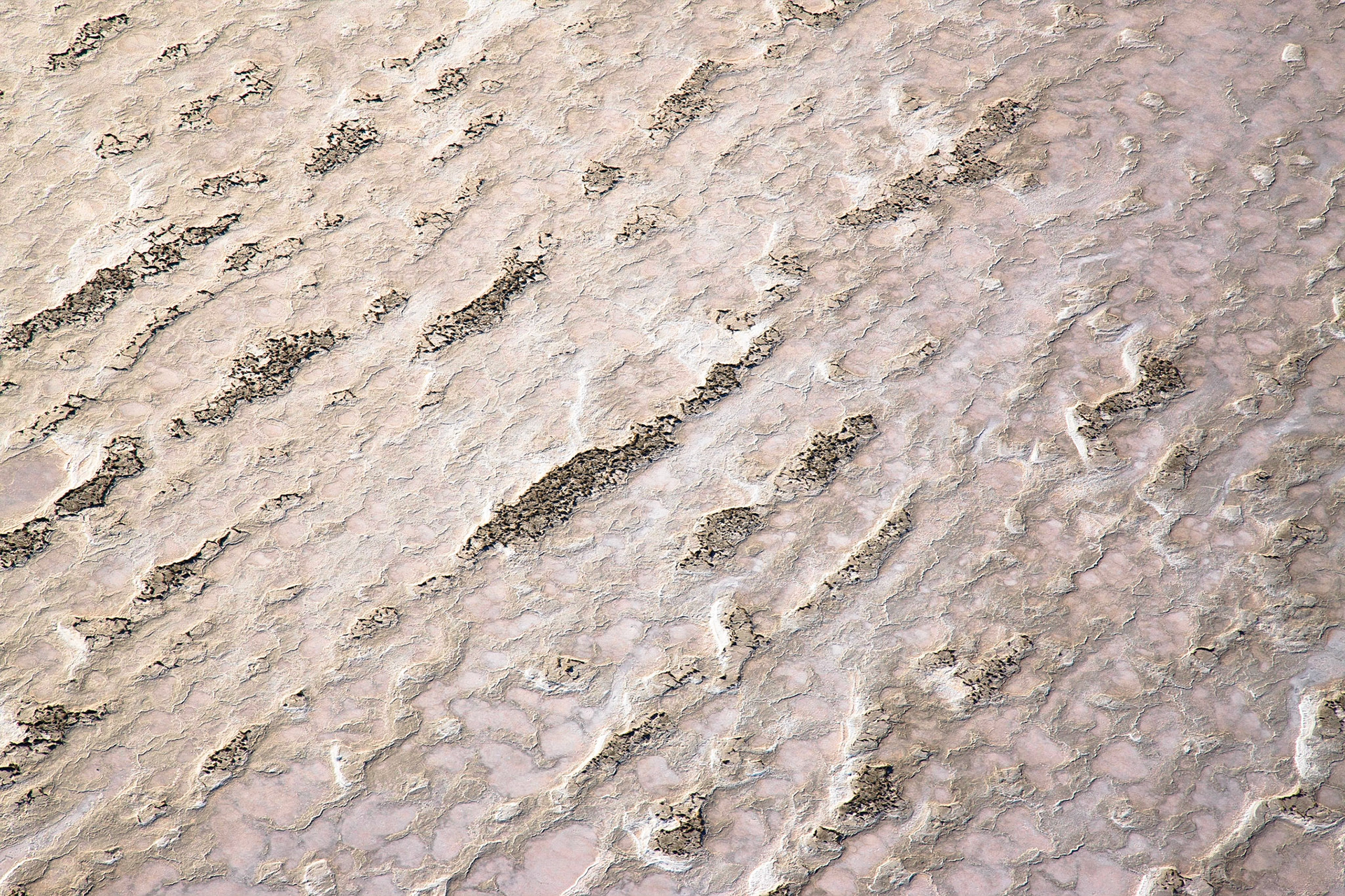 Namib není jen pouští nejvyšších písešných dun na světě, ale ve skutečnosti má opravdu mnohu tváří. Ty mnohdy zůstávají skryty právě uprostřed nedostupných dun, a tak nejlepší způsob vedoucí k jejich odhalení, je najmutí si letadla a pohled z nebe.